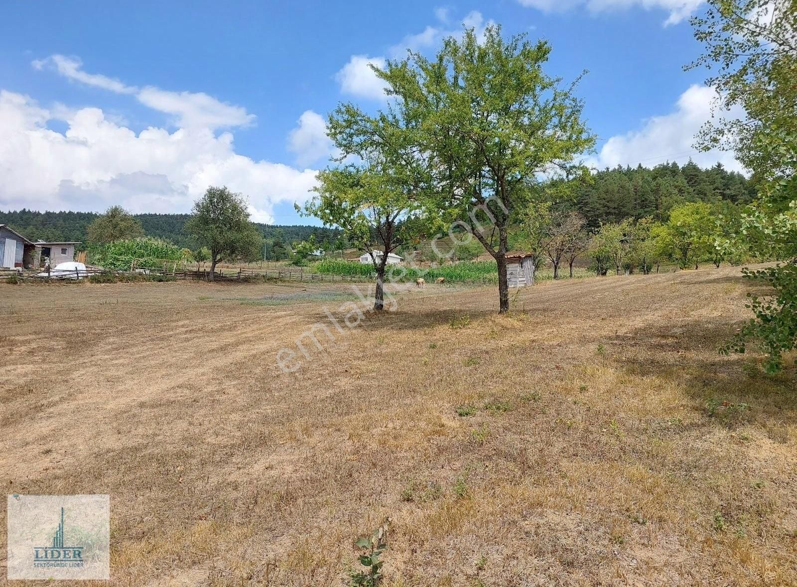 Bursa İznik Elmalı Mahallesinde 701m2 Doğa İle İçiçe İmarlı Arsa - Görsel 24