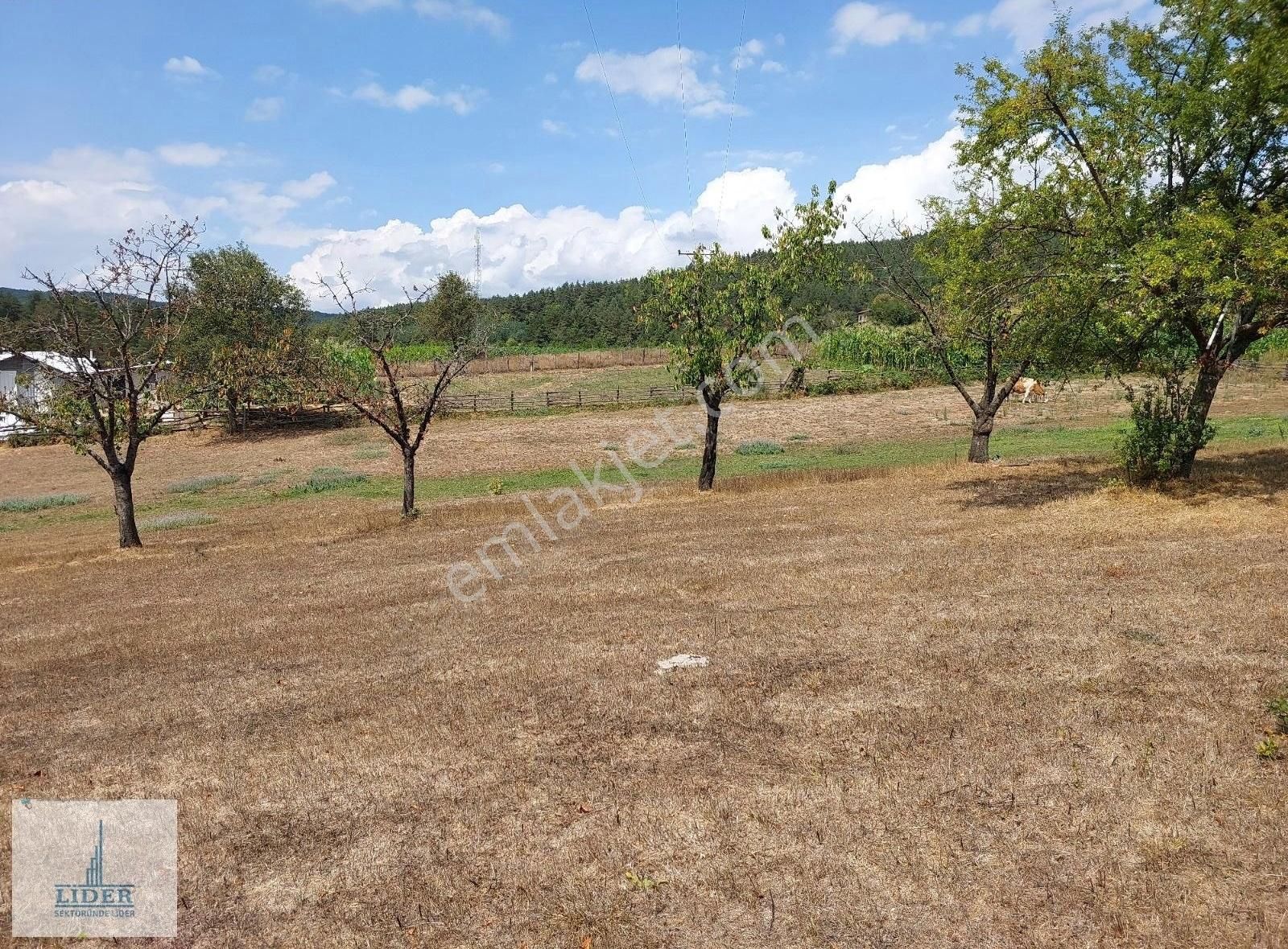 Bursa İznik Elmalı Mahallesinde 701m2 Doğa İle İçiçe İmarlı Arsa