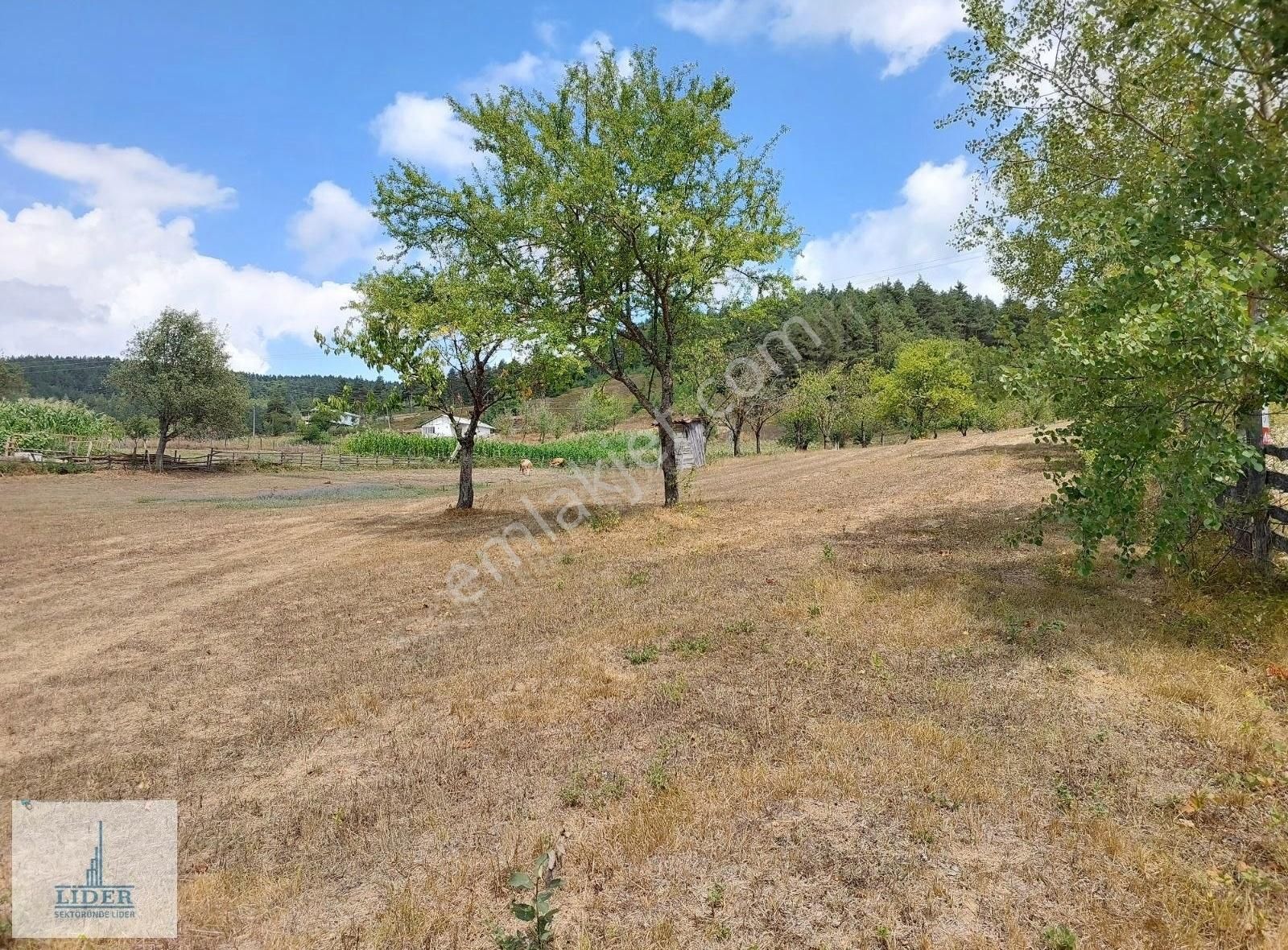 Bursa İznik Elmalı Mahallesinde 701m2 Doğa İle İçiçe İmarlı Arsa - Görsel 4