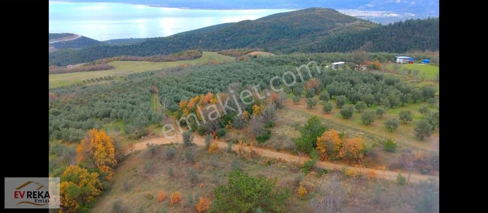 Yenişehir Mecidiye Köyünde Göl Manzaralı 4081 M2 Tarla