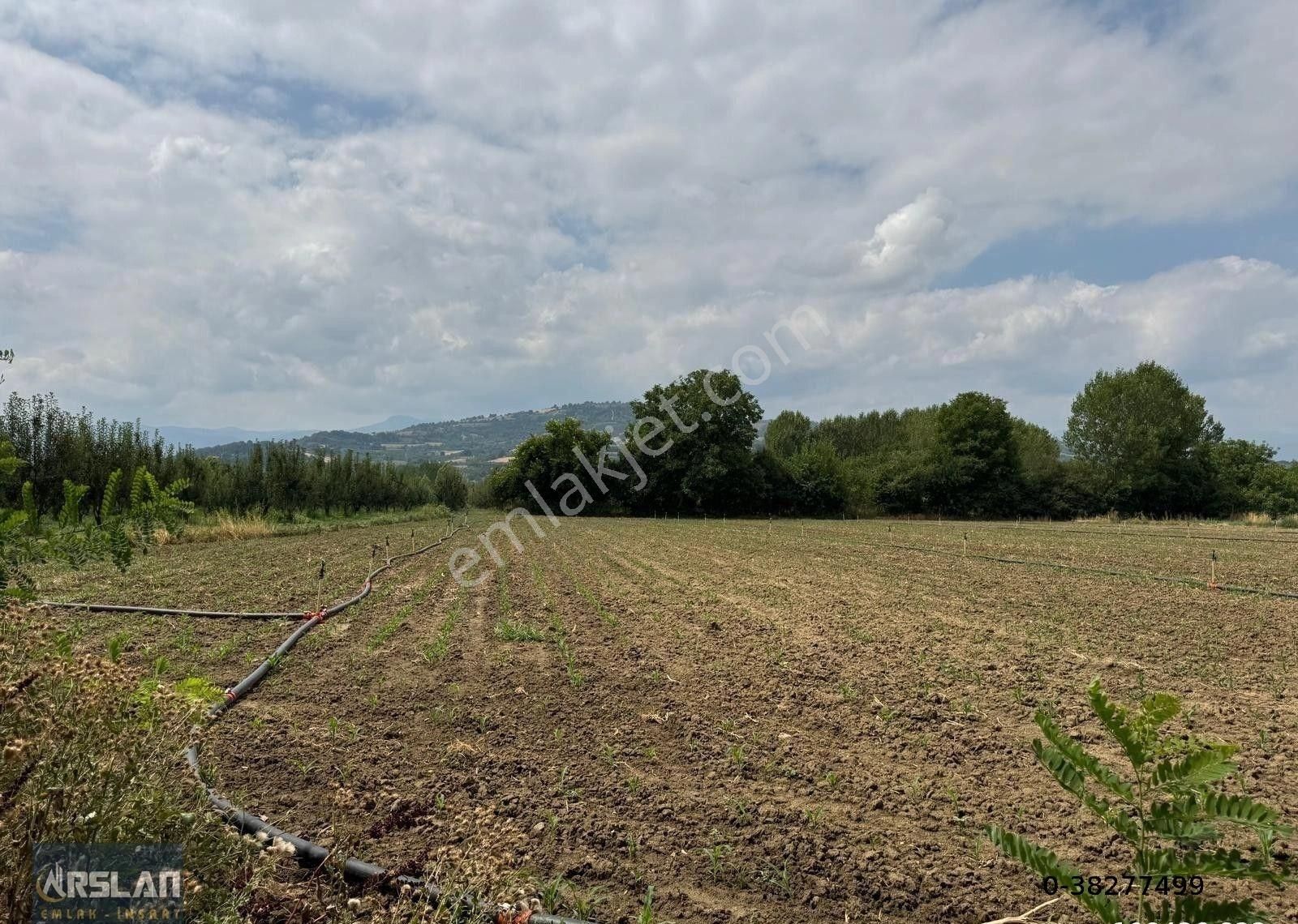 İnegöl Alibey'de Satılık Tarla,köye Ve İnegöle Yakın, Yol, Su Mevcut 8519 M2 - Görsel 3
