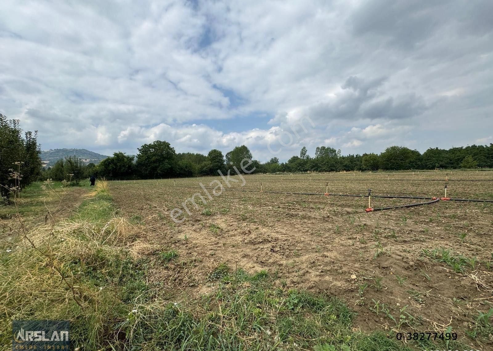 İnegöl Alibey'de Satılık Tarla,köye Ve İnegöle Yakın, Yol, Su Mevcut 8519 M2 - Görsel 7