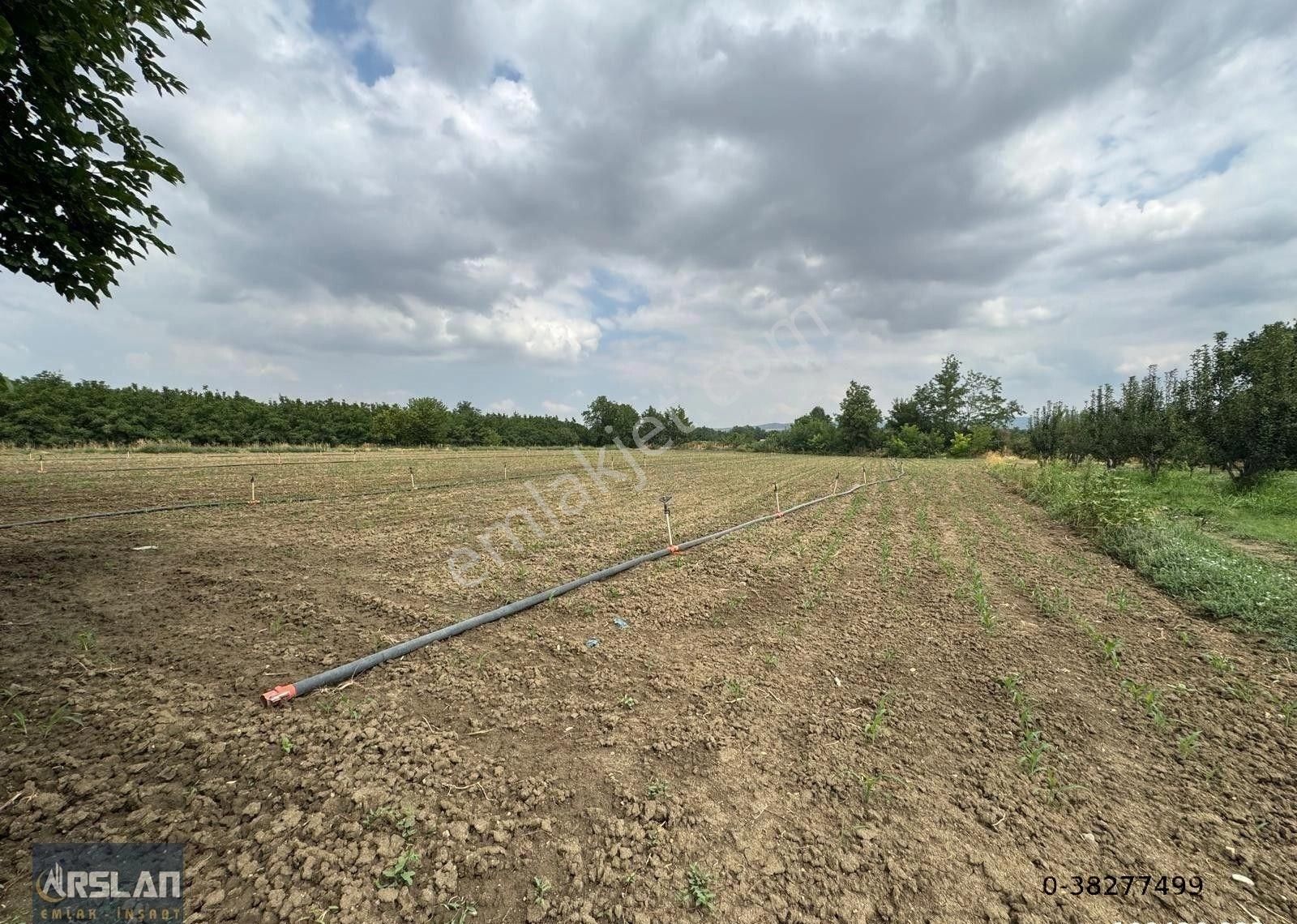 İnegöl Alibey'de Satılık Tarla,köye Ve İnegöle Yakın, Yol, Su Mevcut 8519 M2 - Görsel 17