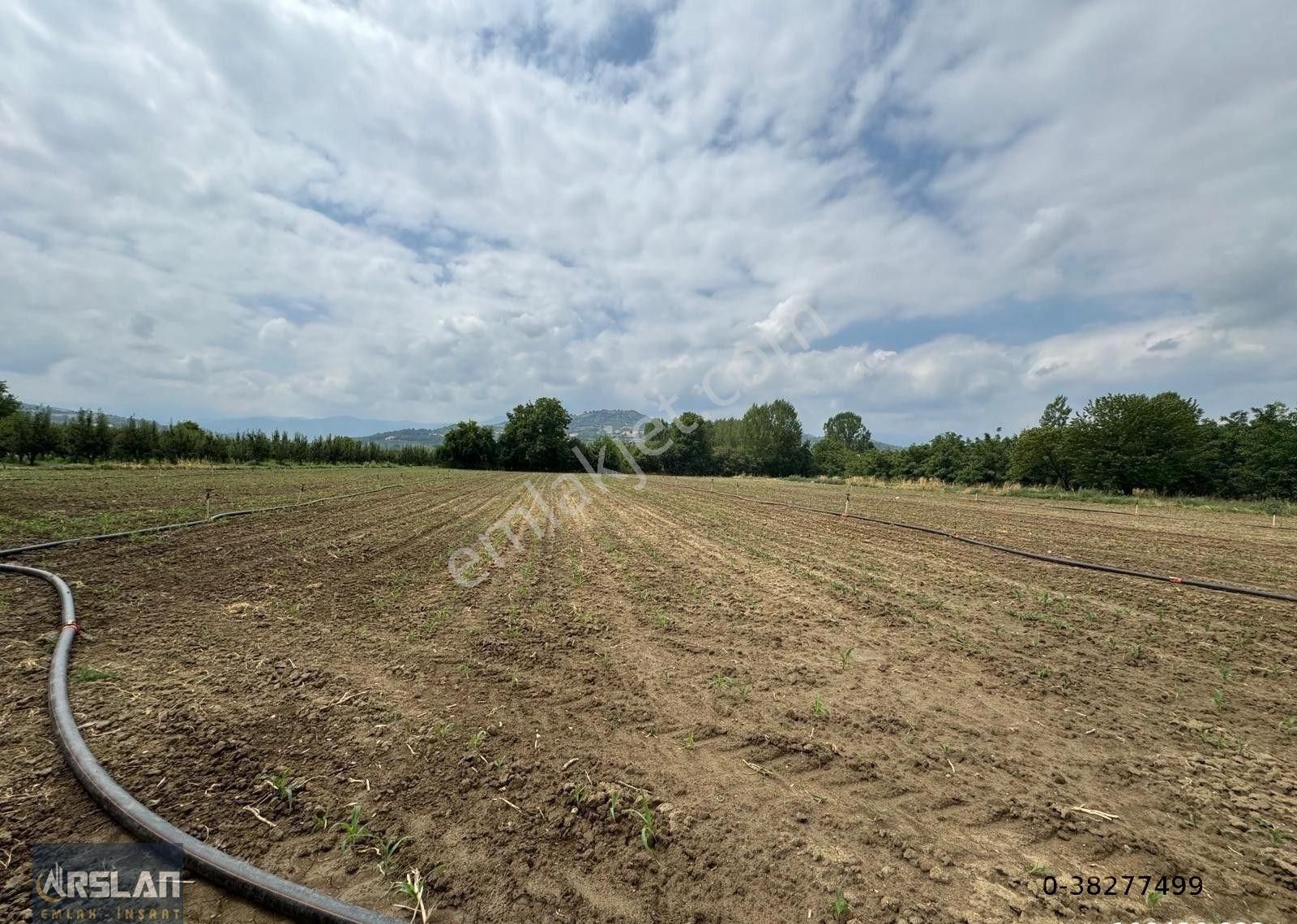 İnegöl Alibey'de Satılık Tarla,köye Ve İnegöle Yakın, Yol, Su Mevcut 8519 M2 - Görsel 19