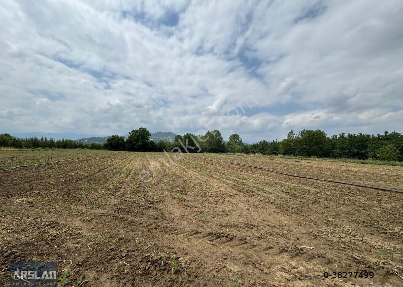 İnegöl Alibey'de Satılık Tarla,köye Ve İnegöle Yakın, Yol, Su Mevcut 8519 M2 - Görsel 10