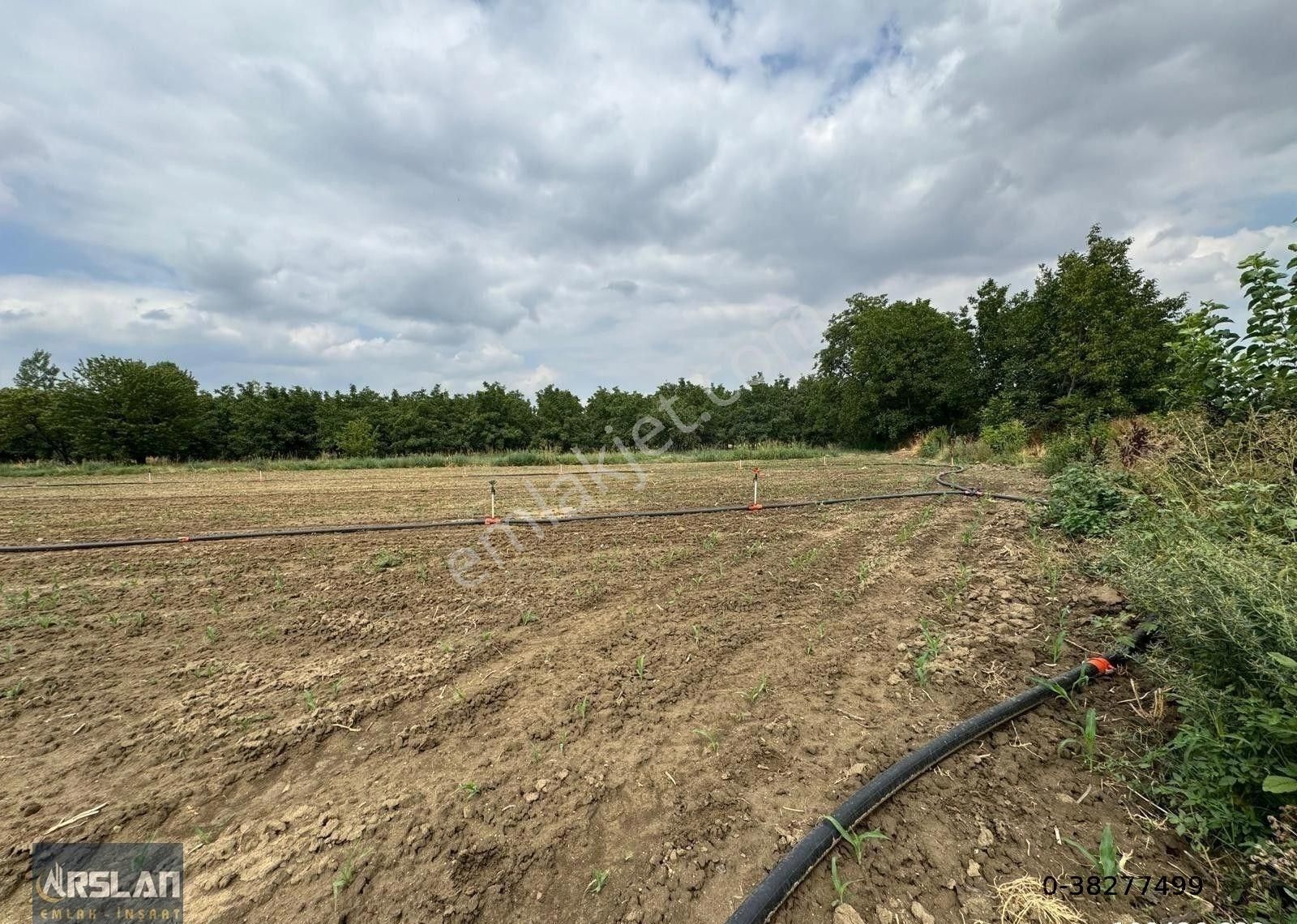 İnegöl Alibey'de Satılık Tarla,köye Ve İnegöle Yakın, Yol, Su Mevcut 8519 M2 - Görsel 29