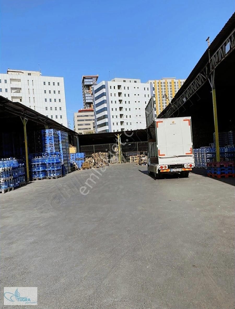 Halkalı Dereboyunda 1000 000m2 6myükseklik 180 000₺ Kiralık