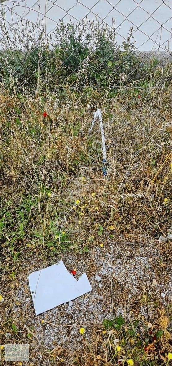 Torbalı Yazıbaşı'nda 355m2 İmara Yakın Tapulu Bahçe