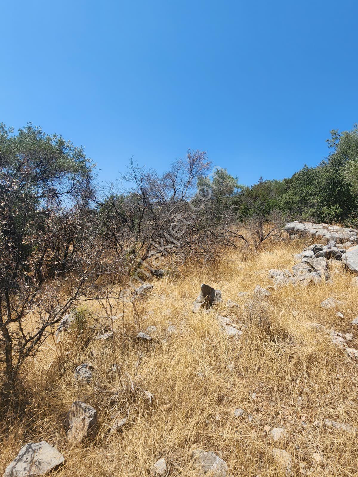 Didim Kardelen 20 40 İmarli Villa Arsası - Görsel 2