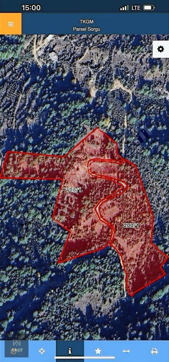 Sinanhocada Kiralık 55 Dönüm