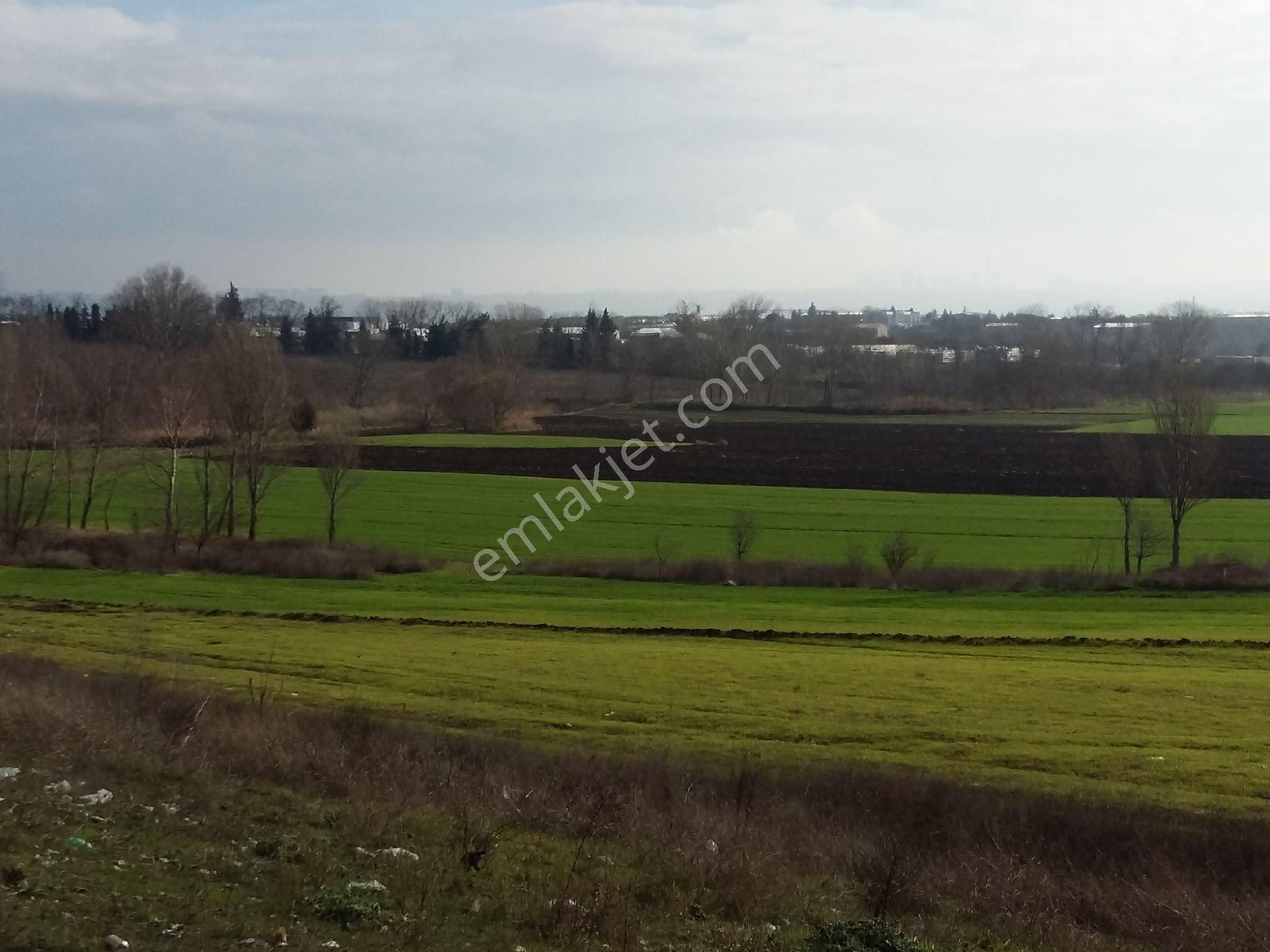 Sahiplerinden Büyük Fırsat - Görsel 26