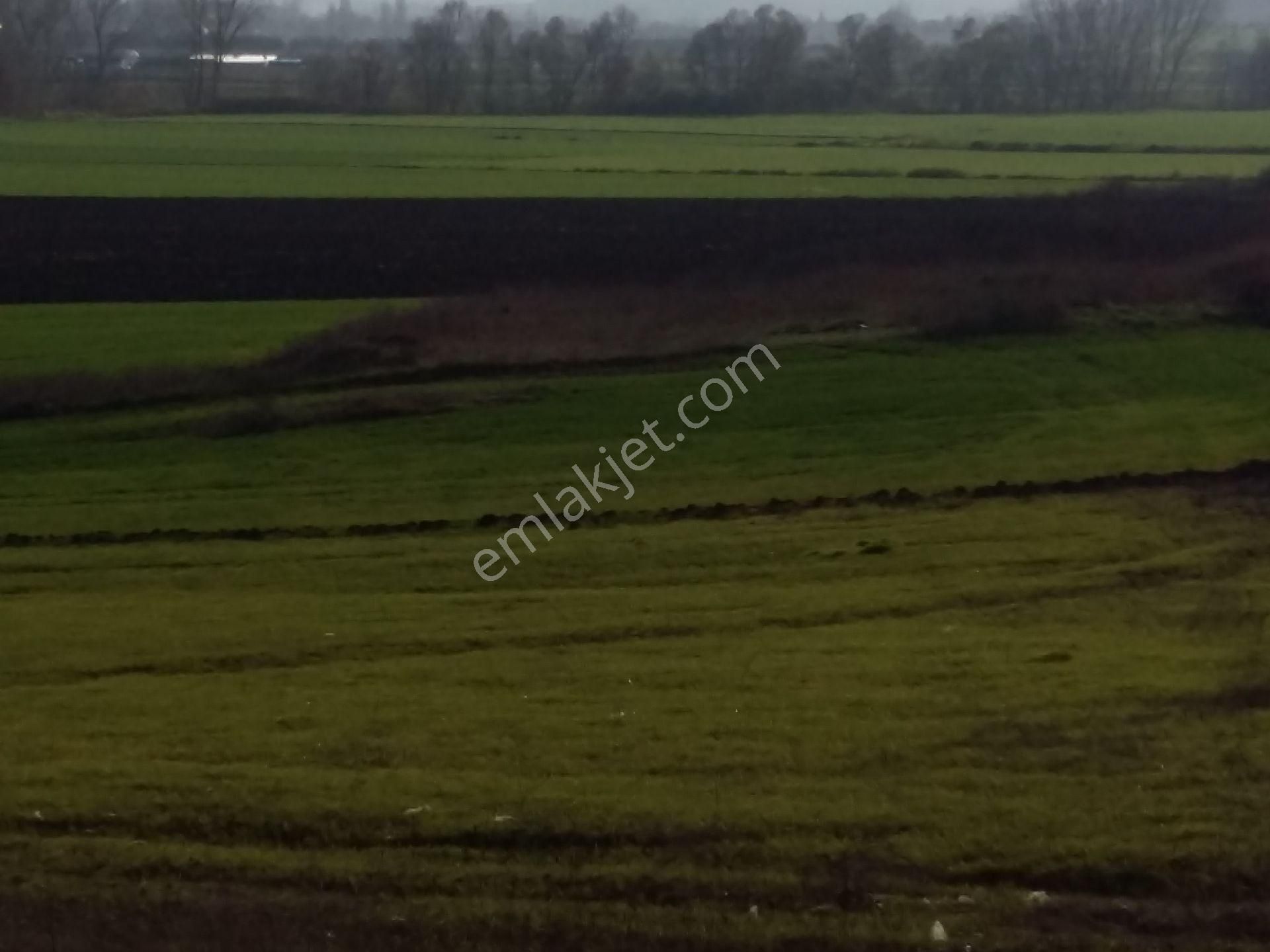 Sahiplerinden Büyük Fırsat - Görsel 33