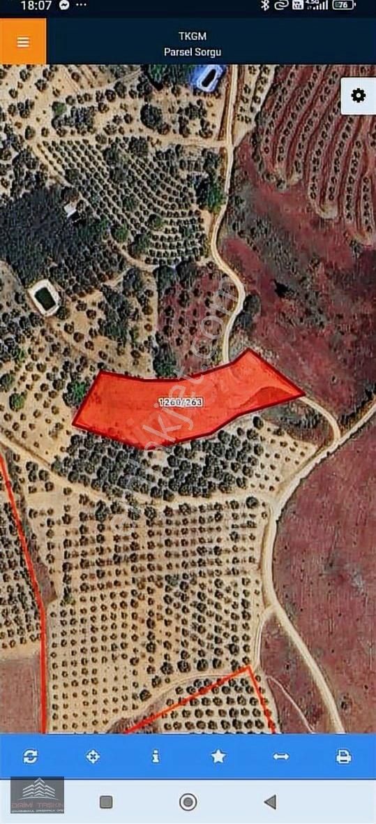 Daimi Taşkın Gayrimenkul'den İznik Tacir Köyünde Satılık Tarla - Görsel 2