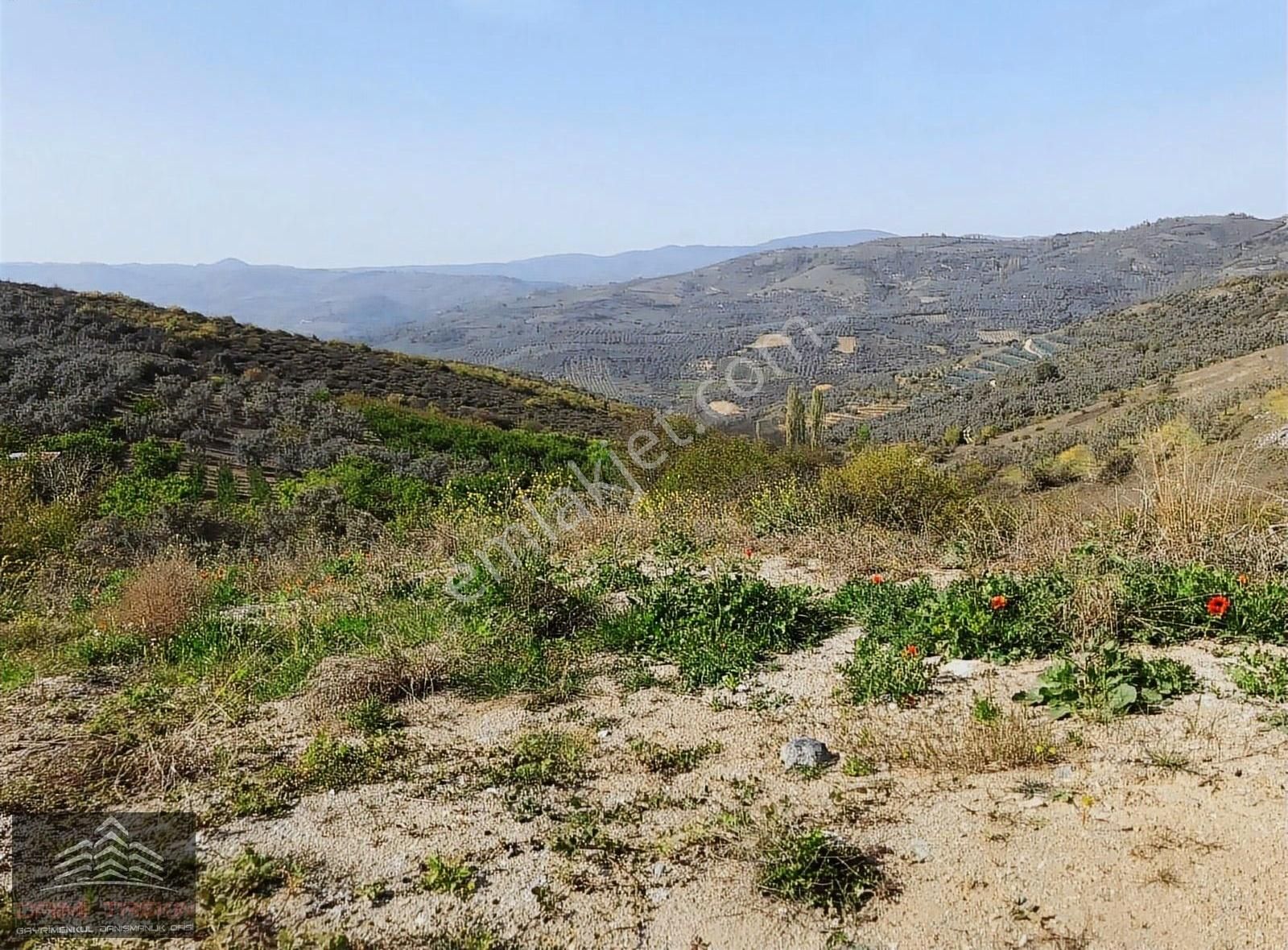 Daimi Taşkın Gayrimenkul'den İznik Tacir Köyünde Satılık Tarla - Görsel 17