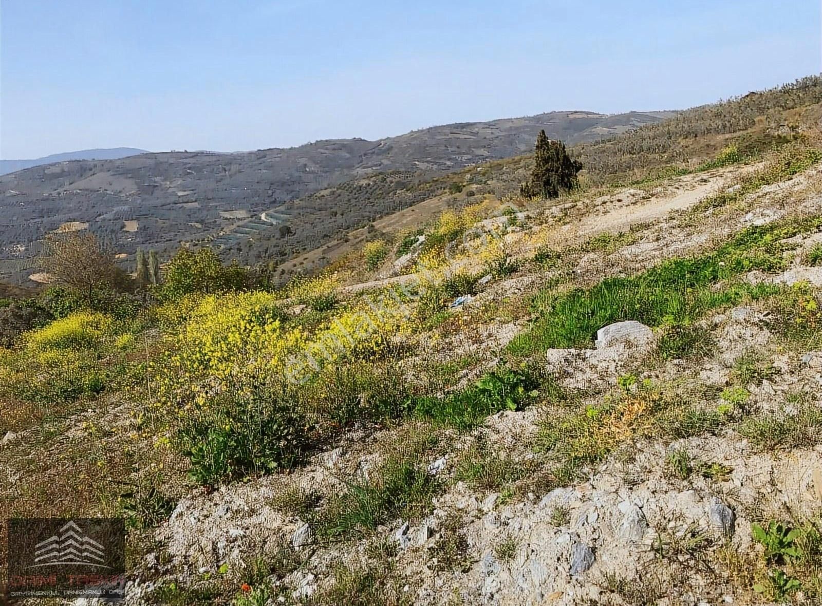 Daimi Taşkın Gayrimenkul'den İznik Tacir Köyünde Satılık Tarla - Görsel 13
