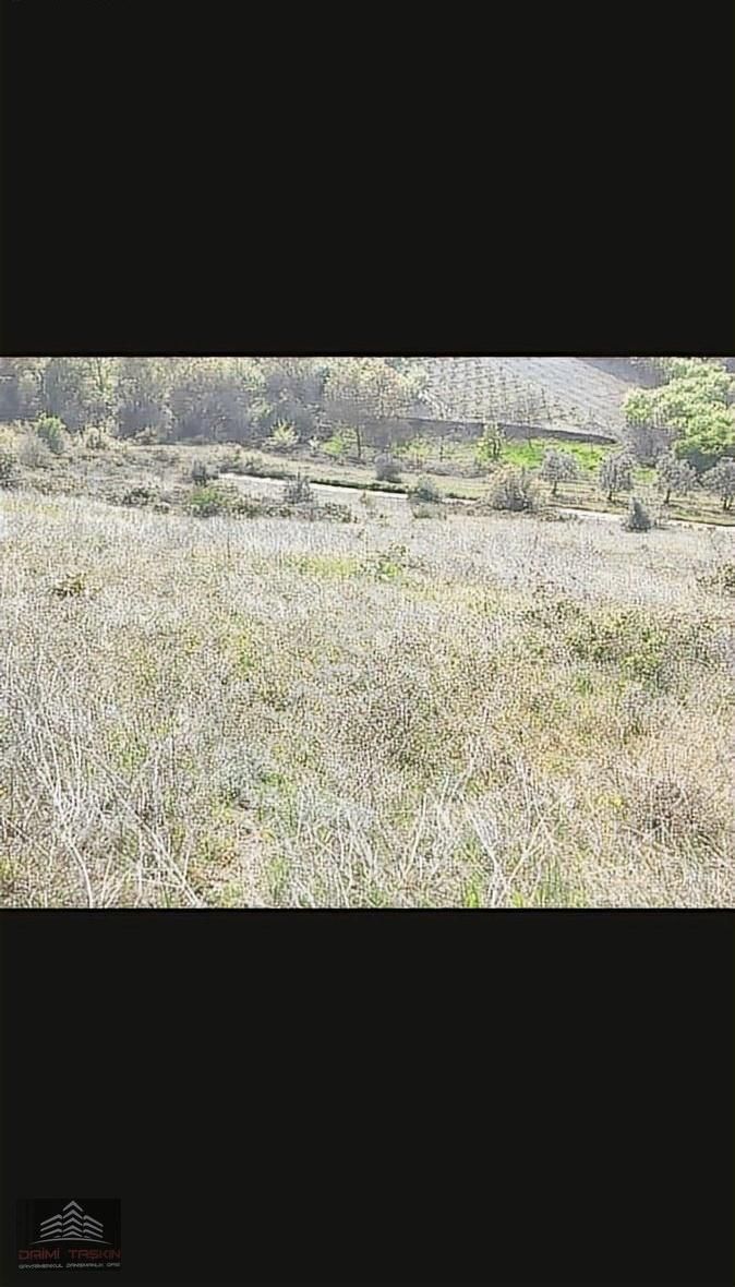 Daimi Taşkın Gayrimenkul'den İznik Tacir Köyünde Satılık Tarla - Görsel 9