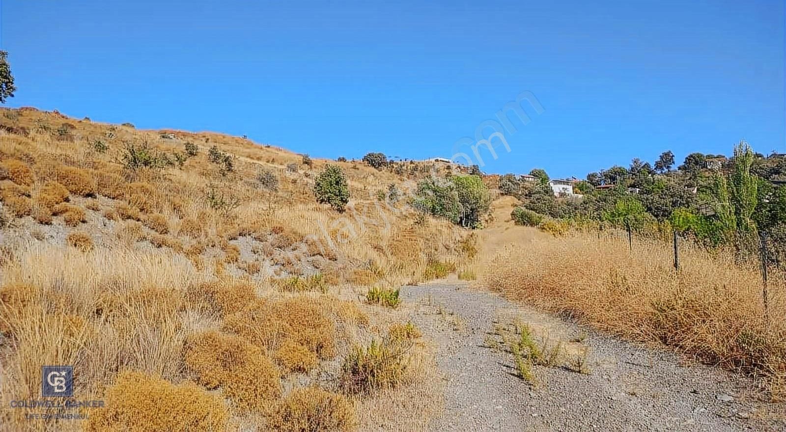 Seferihisar Tepecik'de Satılık Tarla