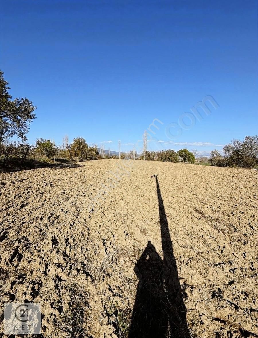 Century21 Net'ten Gölhisar Sanayi İmarına 20m Fırsat Tarla!!!