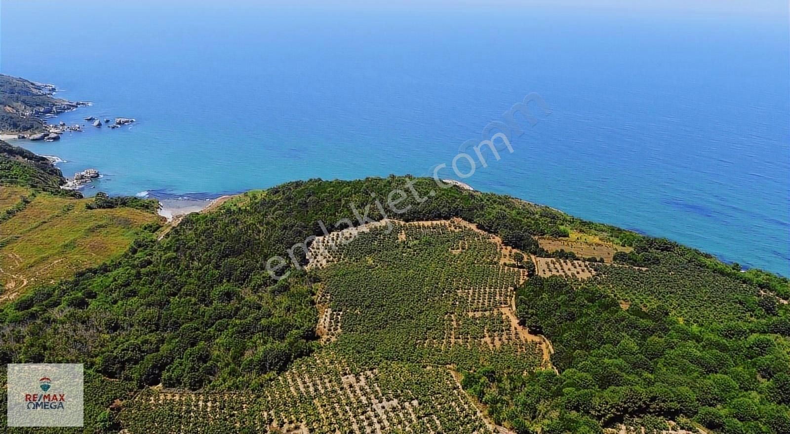 Bağırganlıda Deniz Manzaralı Tarla Fiyatımız 1 Hafta Geçerlidir