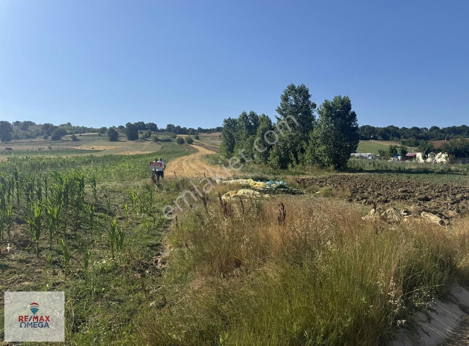 İzmit Kaynarca'da 1916 M2 Satılık Tarla