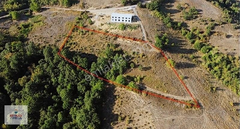İzmit Zeytinburnu Mah. 4000m2 Yolu Açık Satılık Manzaralı Tarla