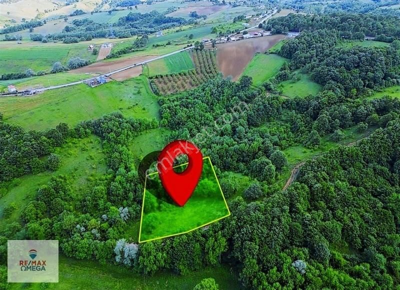 Körfez Himmetli'de 1.741 M2 Yolu Olan Fırsat Tarla