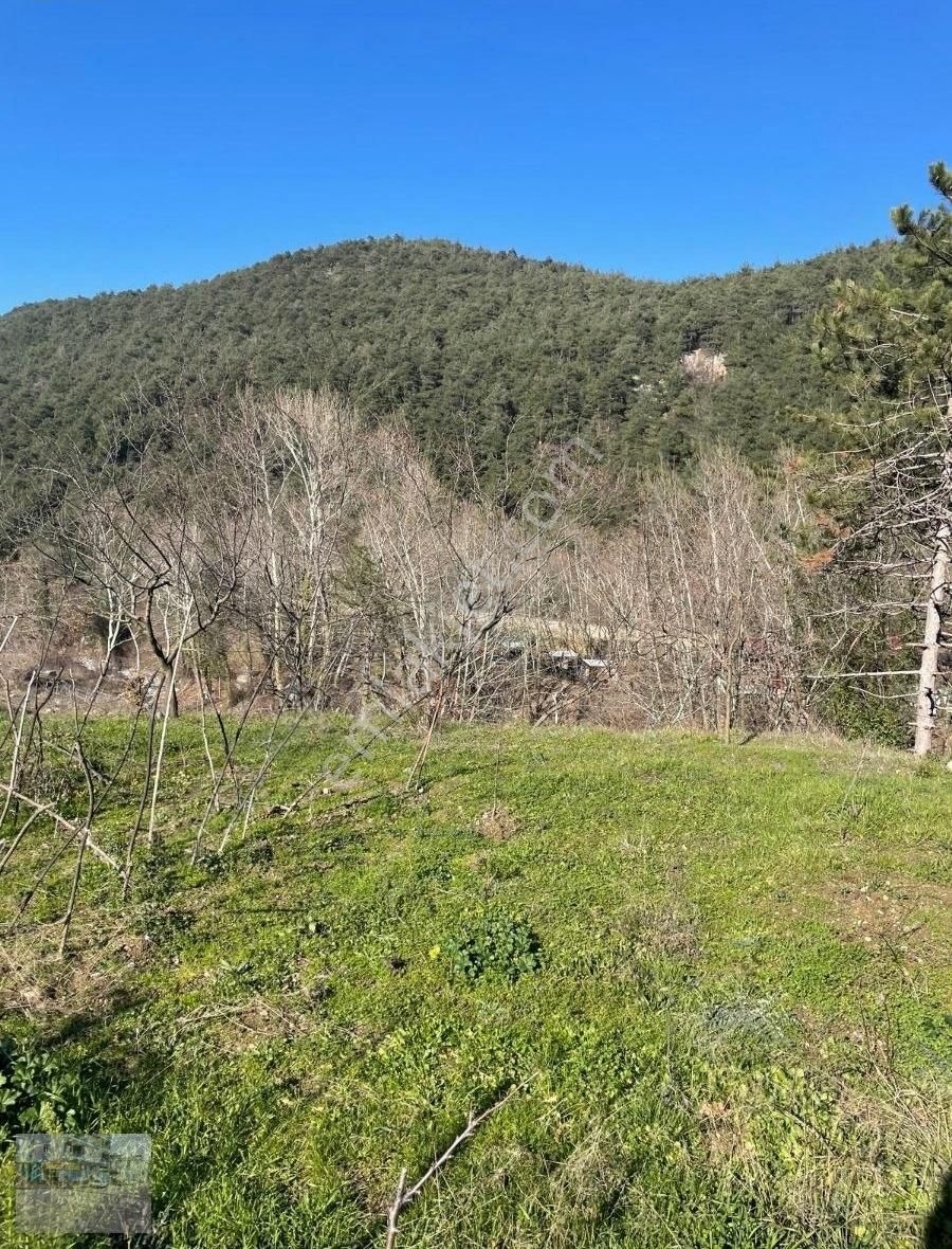 Bursa Kestel Derekızık Mahallesı'nde - Görsel 12