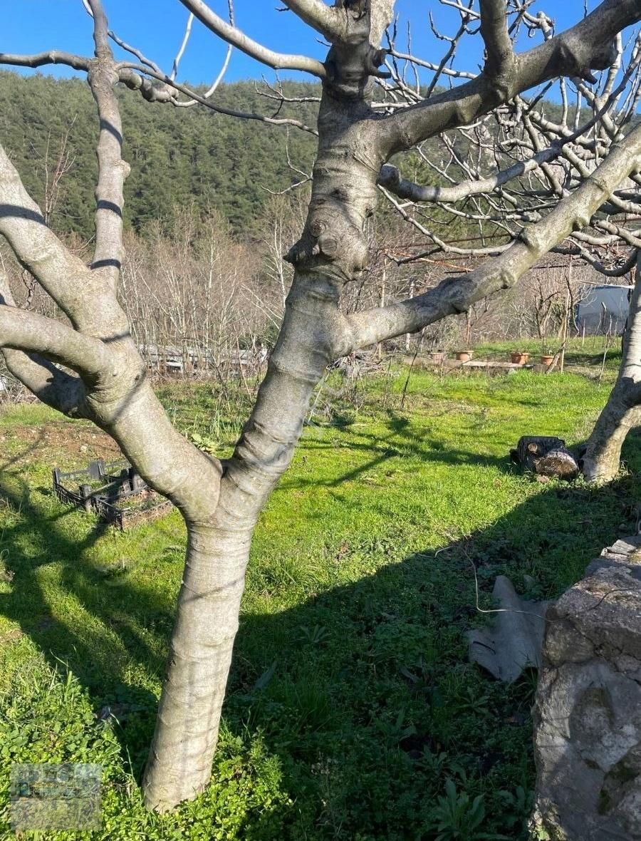 Bursa Kestel Derekızık Mahallesı'nde - Görsel 8