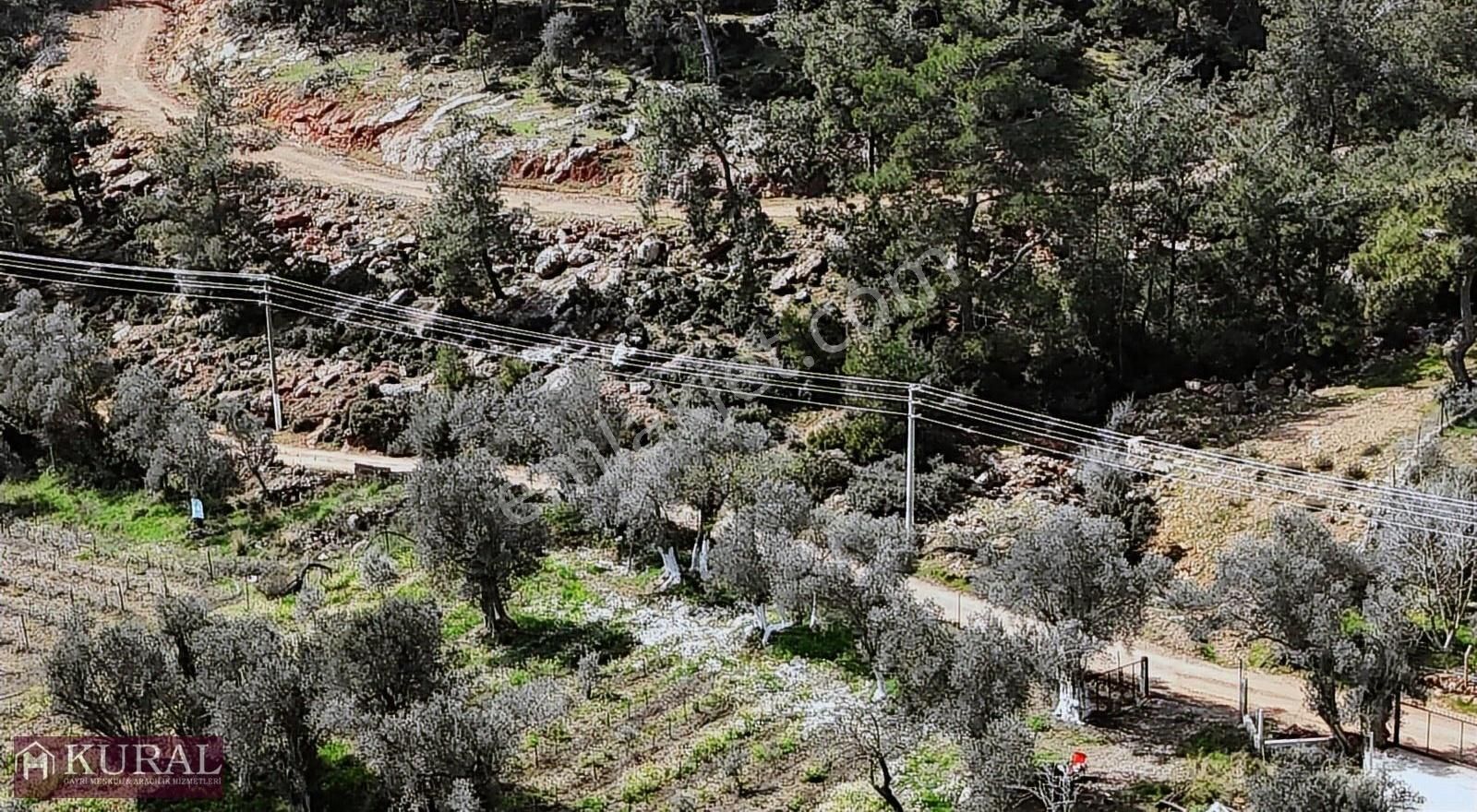 Tek Müstakil Tapu 2 Dönüm Ev Depo Garaj Yeniköy Menderes İzmir - Görsel 21