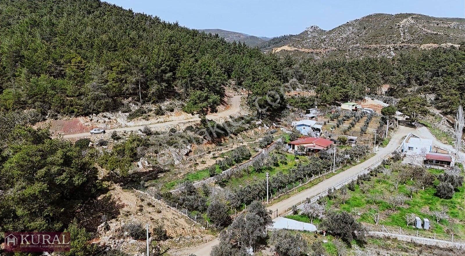 Tek Müstakil Tapu 2 Dönüm Ev Depo Garaj Yeniköy Menderes İzmir - Görsel 20