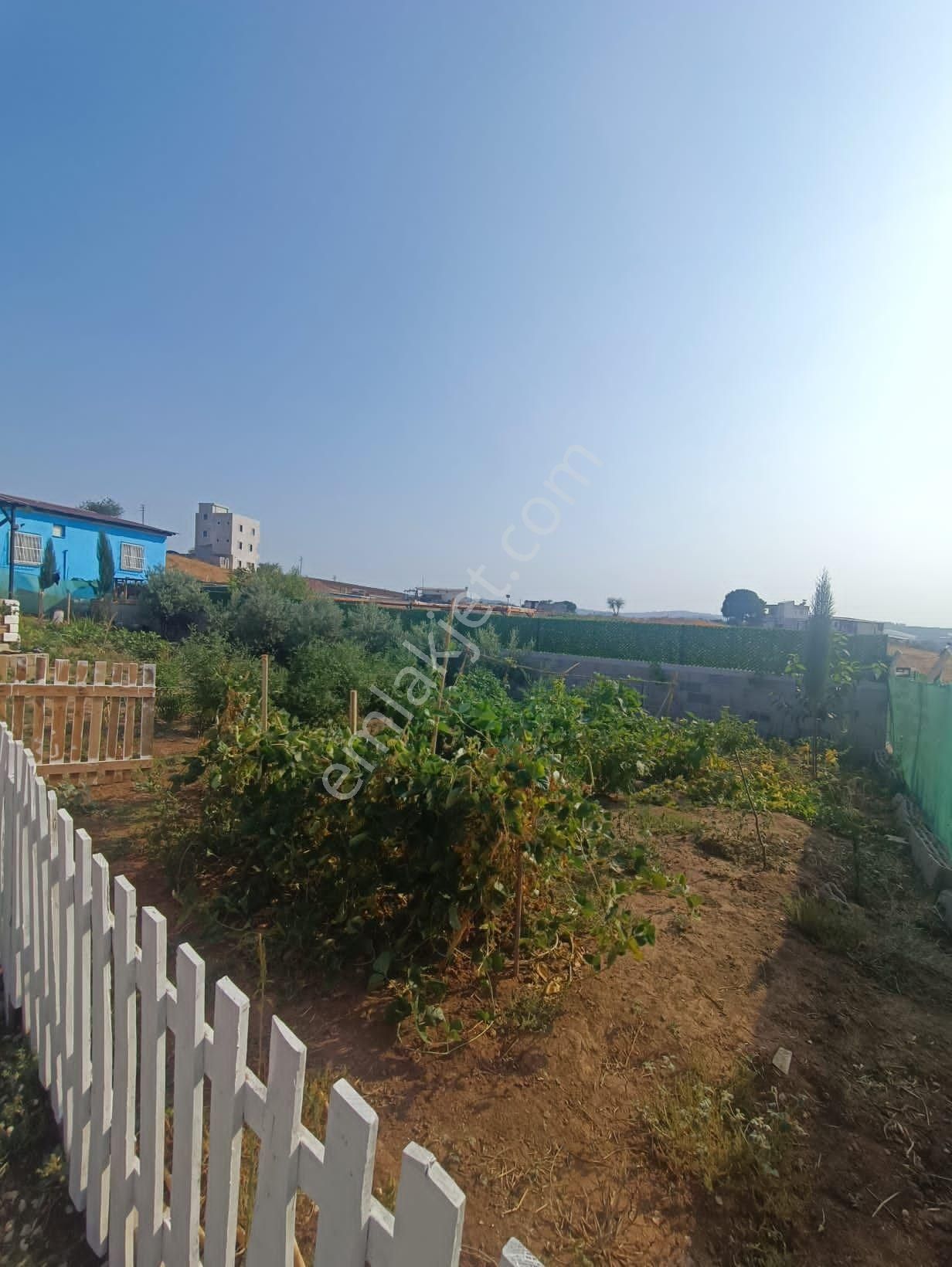 Karaisalı Topakbaş Körküm Çayın Da Satılık Hobi Bahçeli Ev - Görsel 5