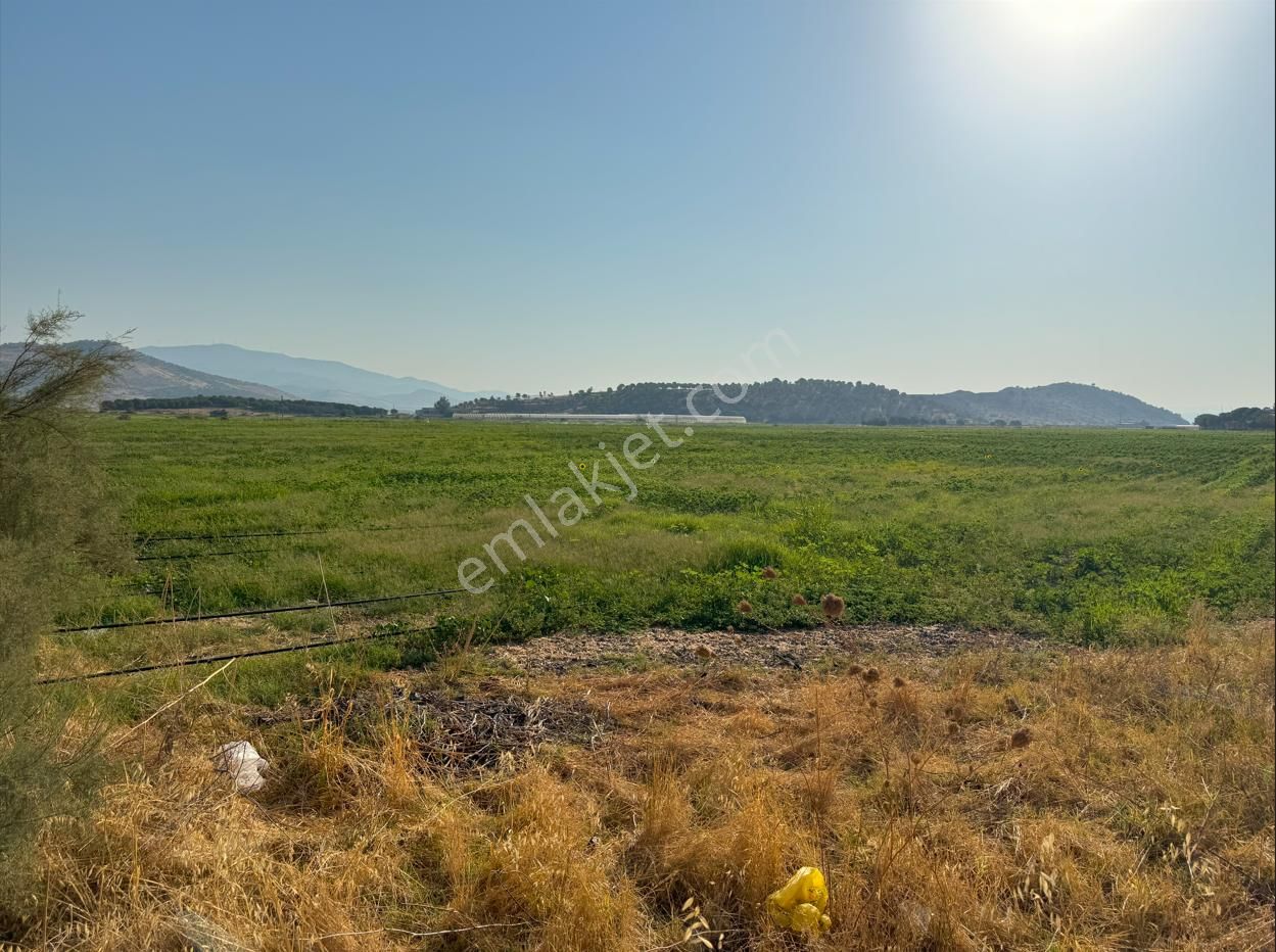 Merkez'den İzmir Dikili'de Tarla Sulama Kanalı-meraya Cepheli