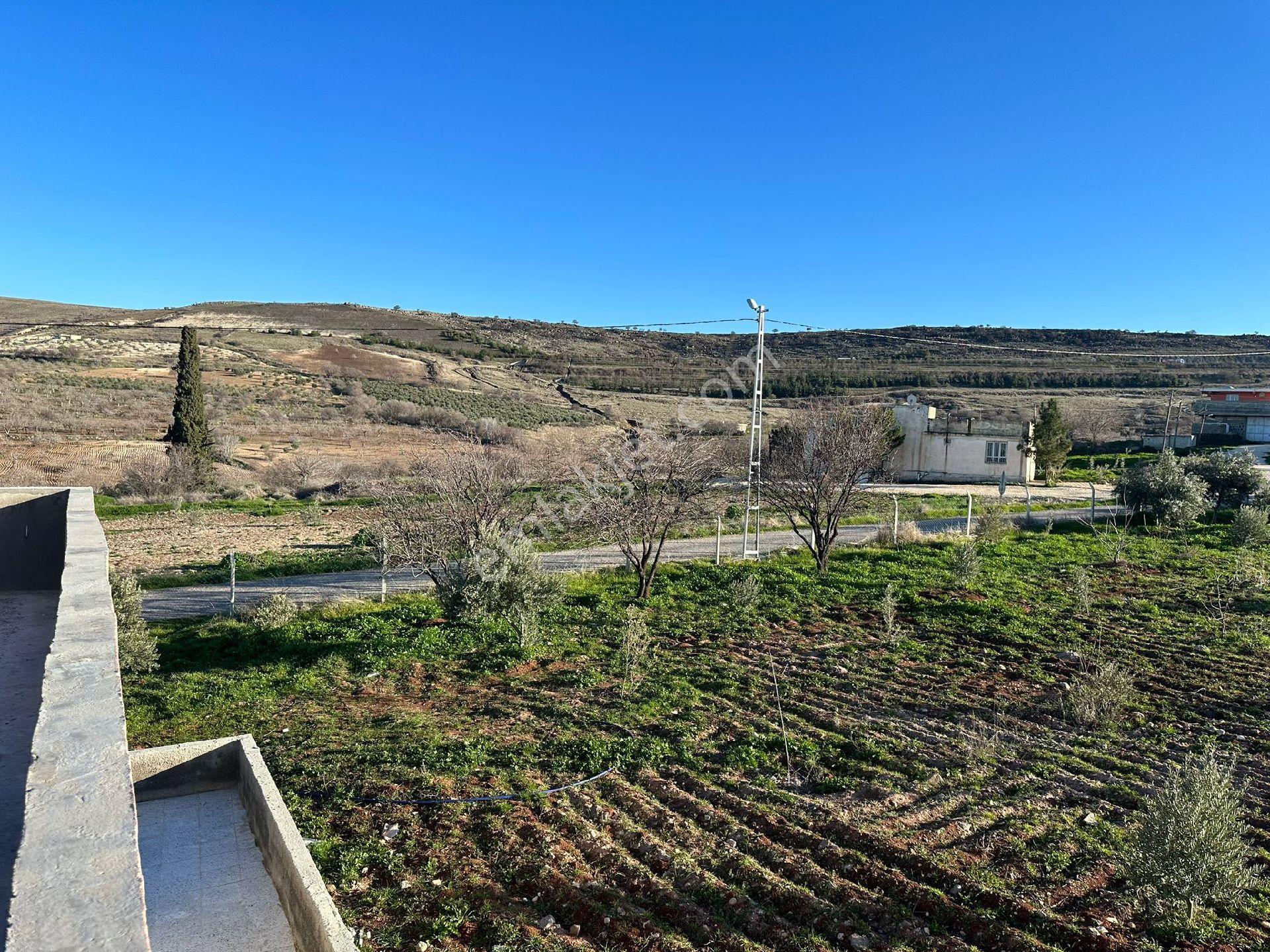 Karaköprü Öğütçü Mahallesi'nde Satılık 5 Dönüm Tarla Ve Bağ Evi - Görsel 6