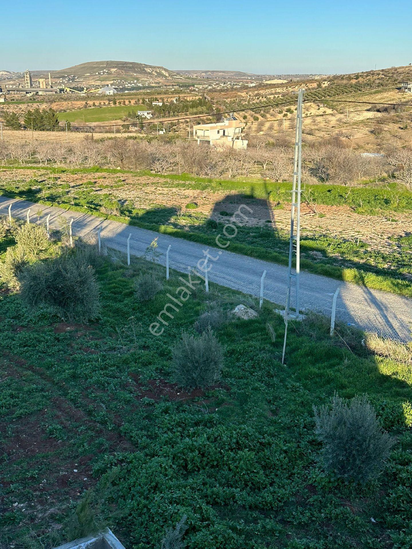 Karaköprü Öğütçü Mahallesi'nde Satılık 5 Dönüm Tarla Ve Bağ Evi - Görsel 4