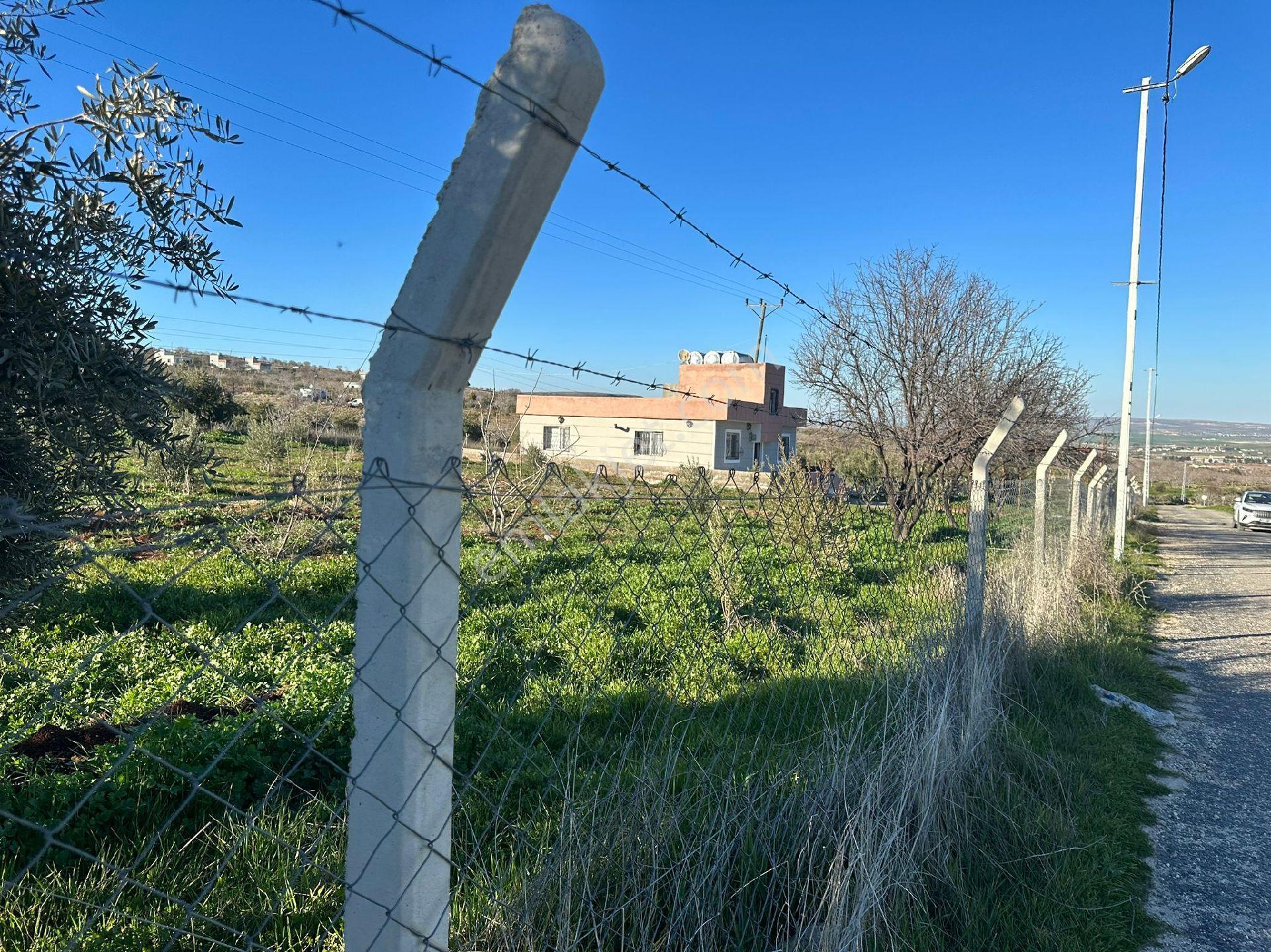 Karaköprü Öğütçü Mahallesi'nde Satılık 5 Dönüm Tarla Ve Bağ Evi - Görsel 11
