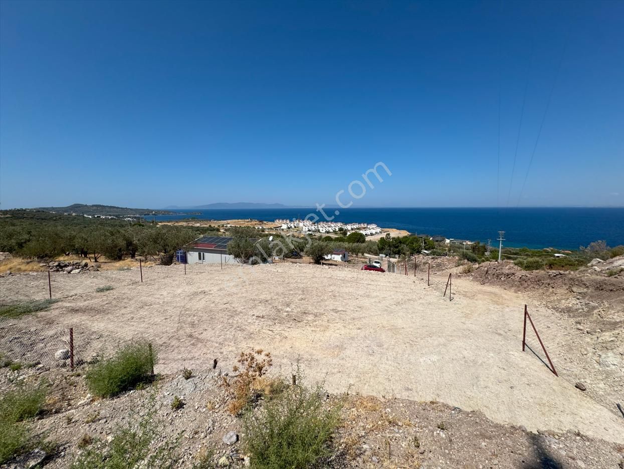 Merkez'den Dikili Yahşibey'de Yatırımlık Elektrik/su Dibinde