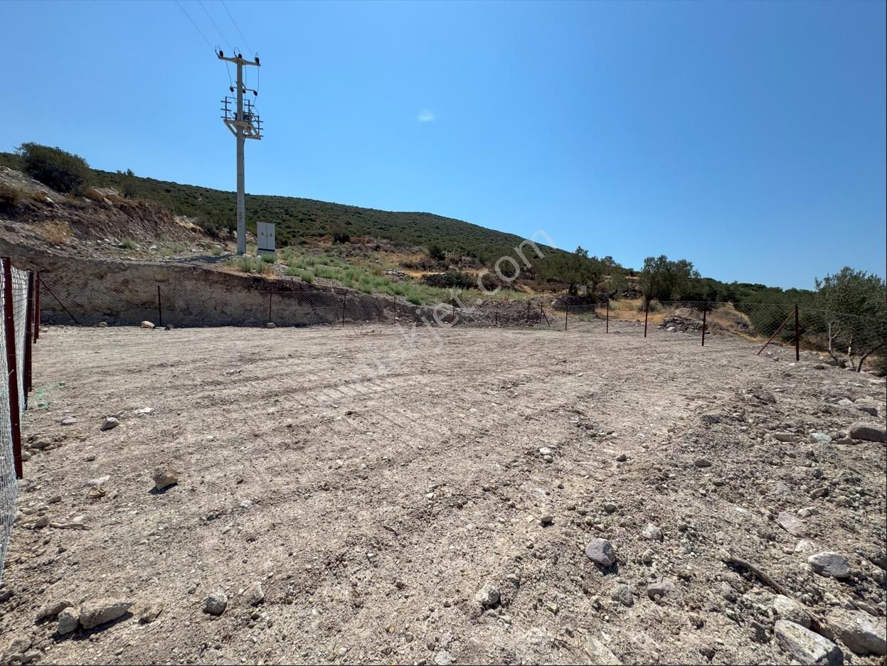 Merkez'den Dikili Yahşibey'de Yatırımlık Elektrik/su Dibinde - Görsel 5