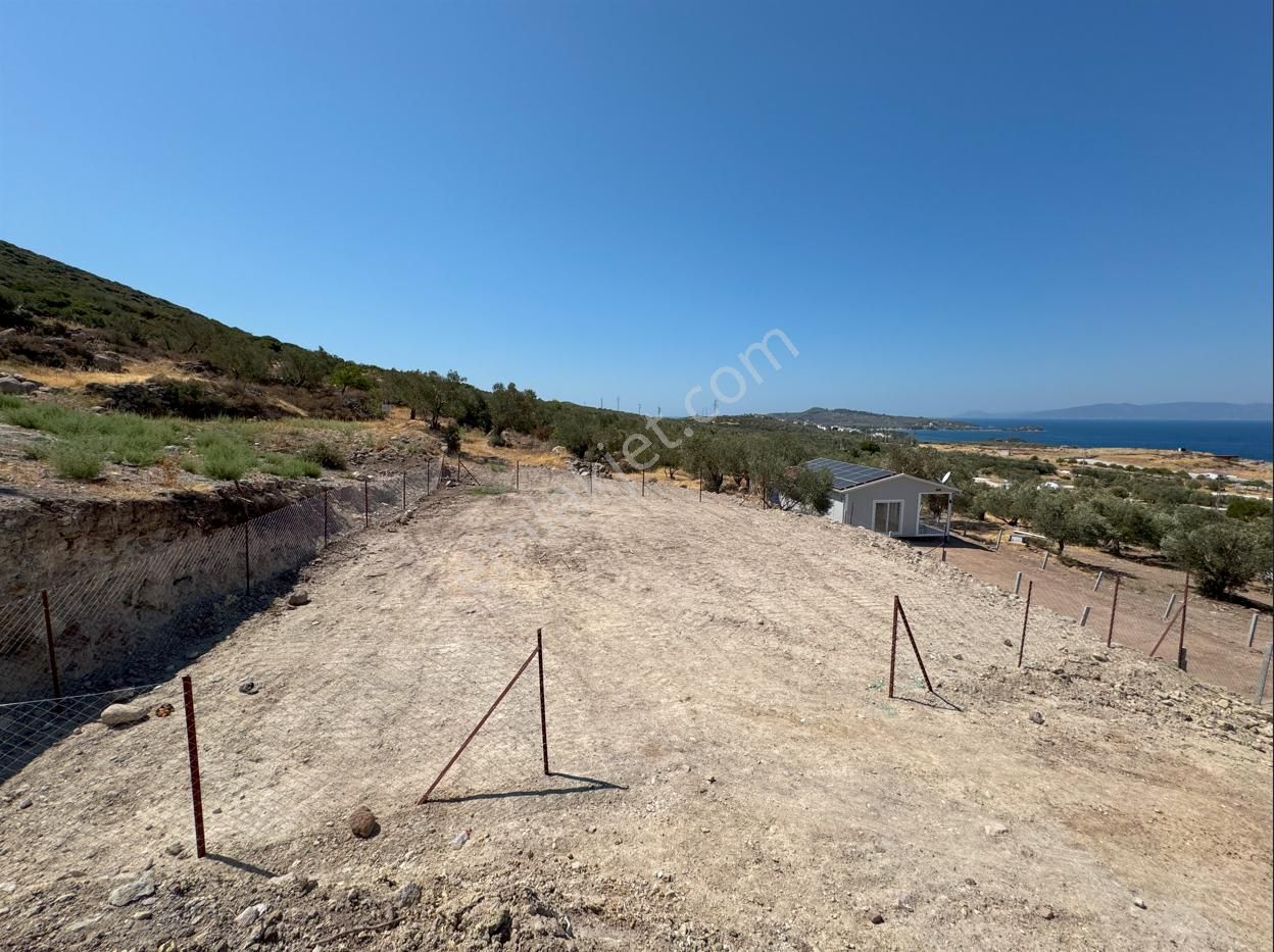 Merkez'den Dikili Yahşibey'de Yatırımlık Elektrik/su Dibinde - Görsel 3