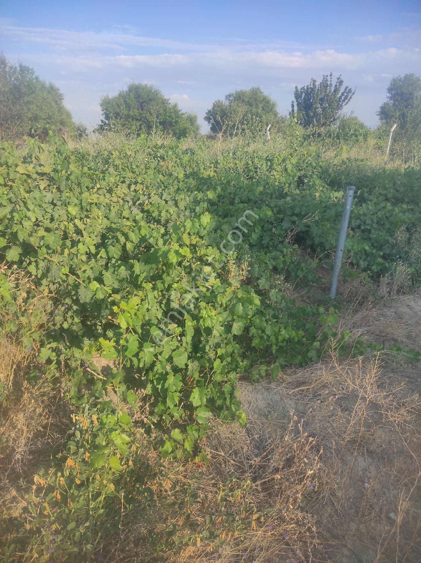 Kaçmaz Emlaktan Yeşilhisar Merkezde Bahçe Kaçmaz Fırsat Kupon Yer