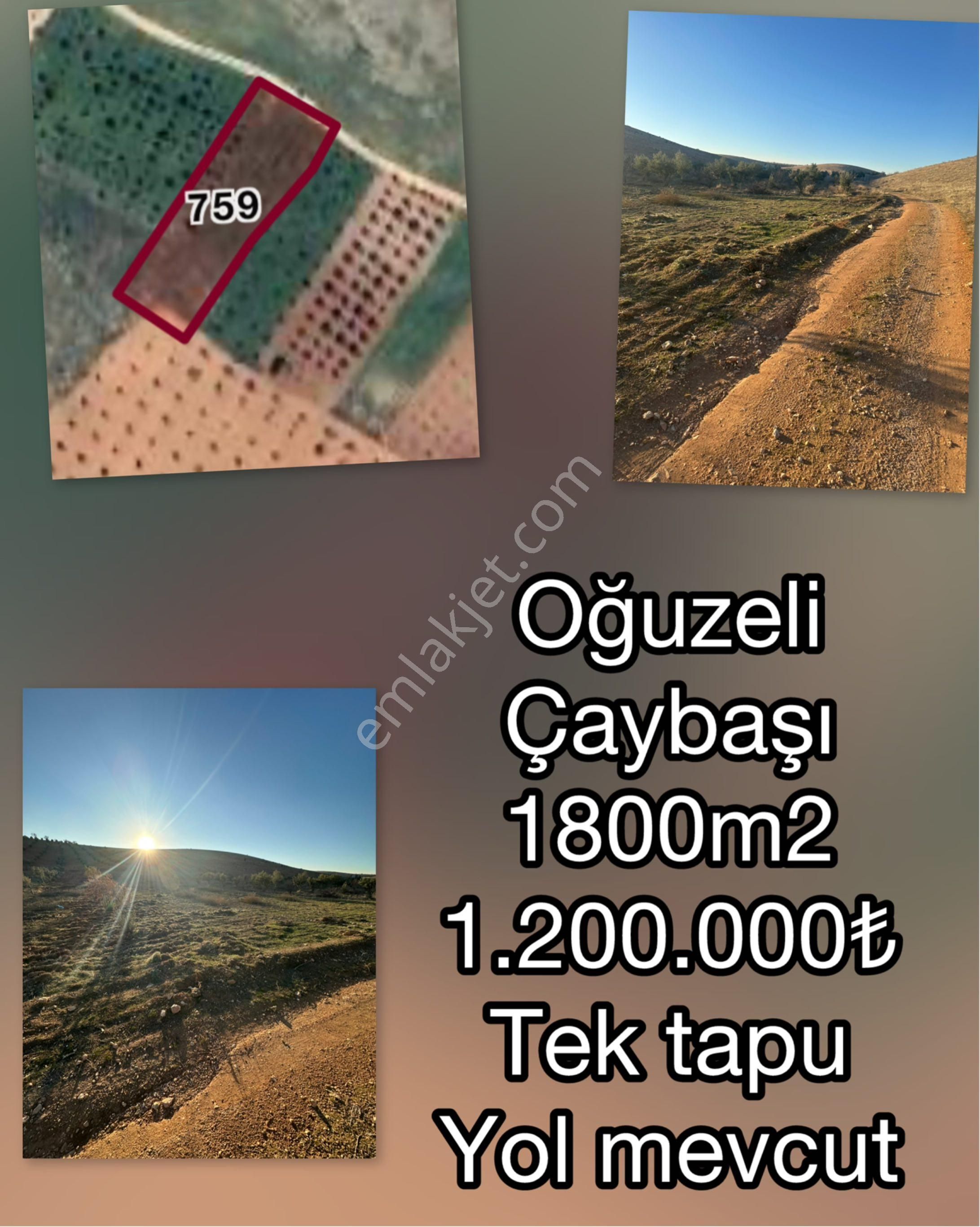 🌿 Yatırımlık Arsa Fırsatı – Oğuzeli / Çaybaşı