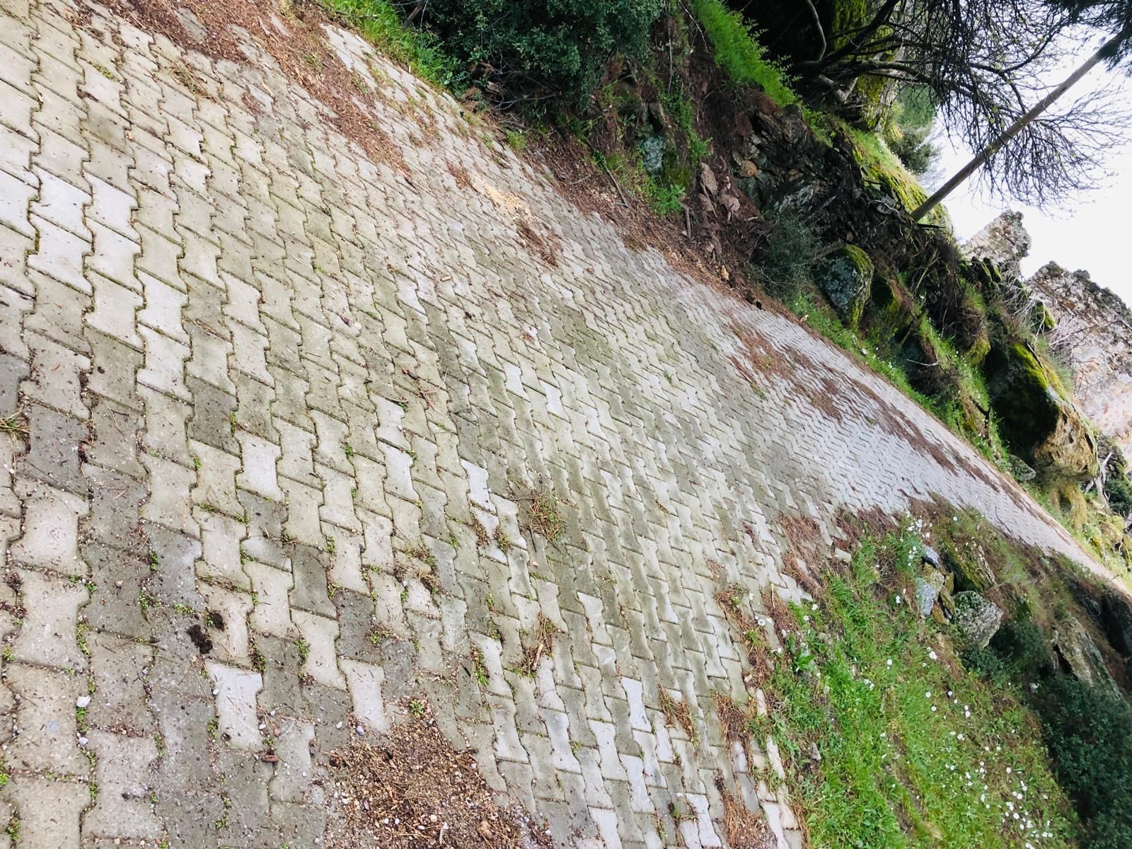 Muğla Milas Olukbaşın'da 1.524 M² Tek Katlı Kargir Ev Ve Harabe Ev Ve Tarla !!! - Görsel 10
