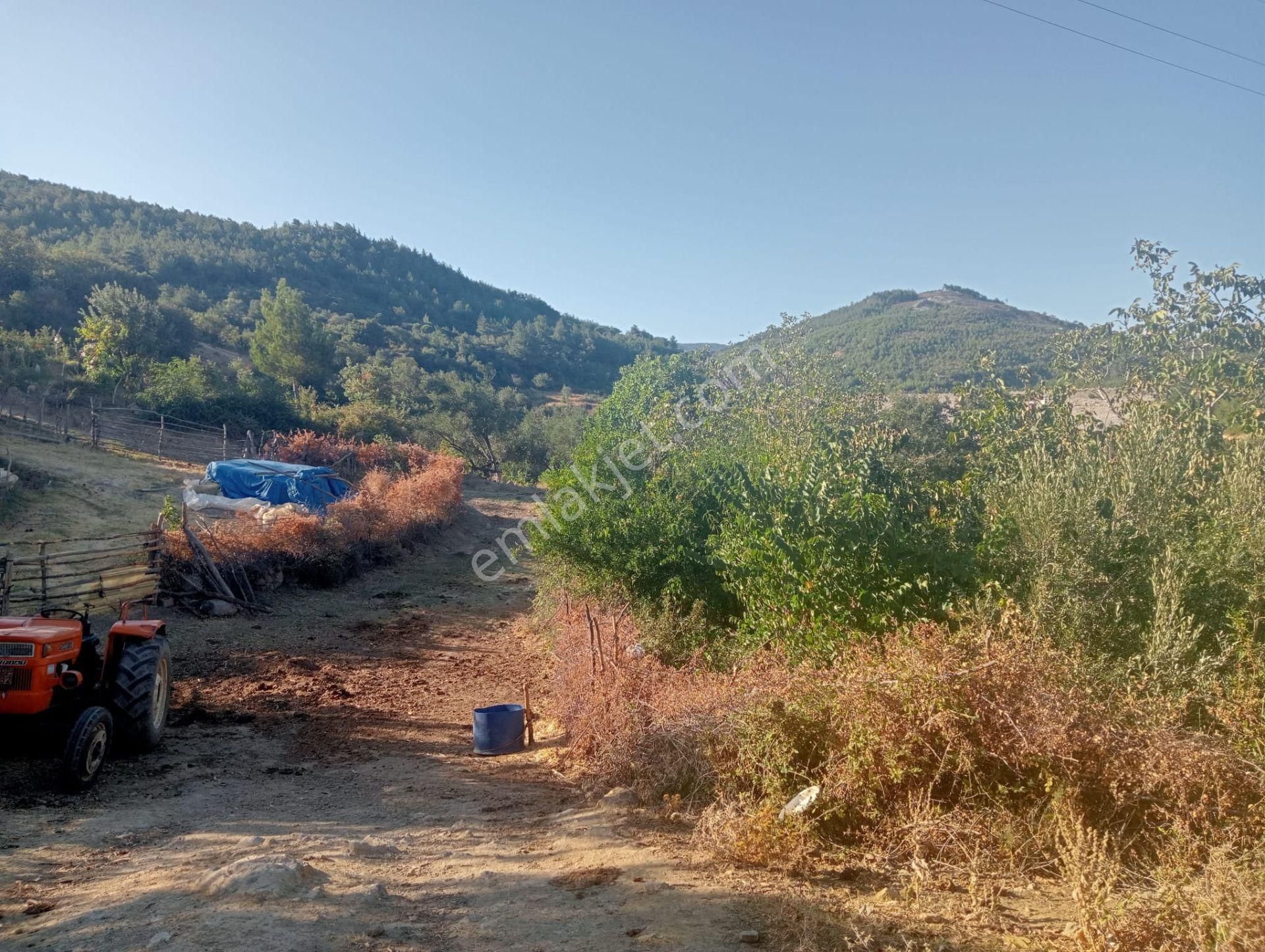 Komutan Emlaktan Karalarda 1.097 M2 Köy Kenarı Bahçe - Görsel 21