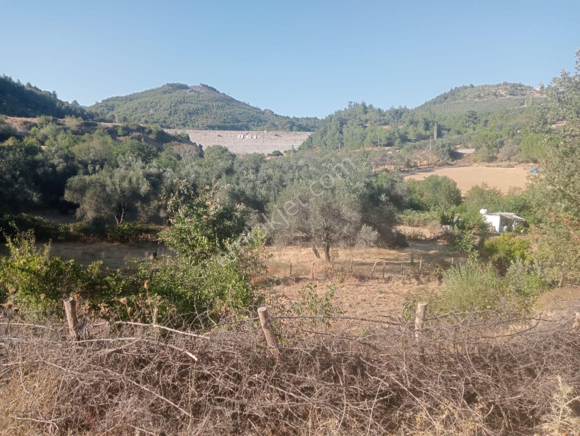 Komutan Emlaktan Karalarda 1.097 M2 Köy Kenarı Bahçe - Görsel 17