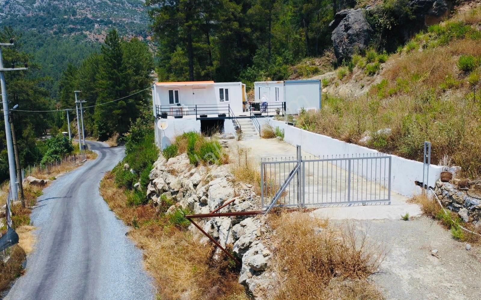 Alanya Dim Vadisinde Satılık Avakado Bahçesi Ve Konteynir Ev