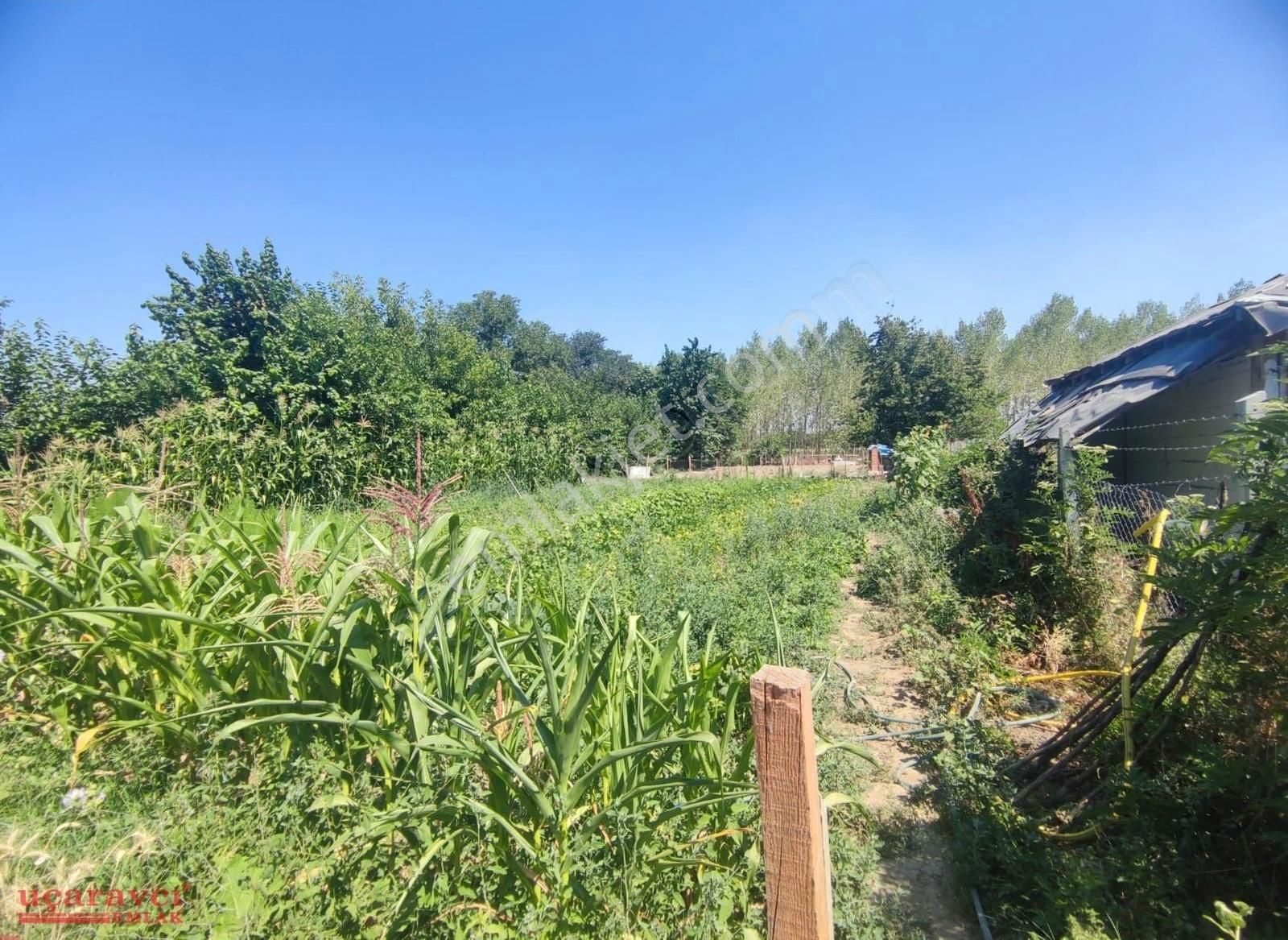 Uçaravcı'dan Mahmudiye Mah. Satılık 1.279 M² Yolu Olan Tarla