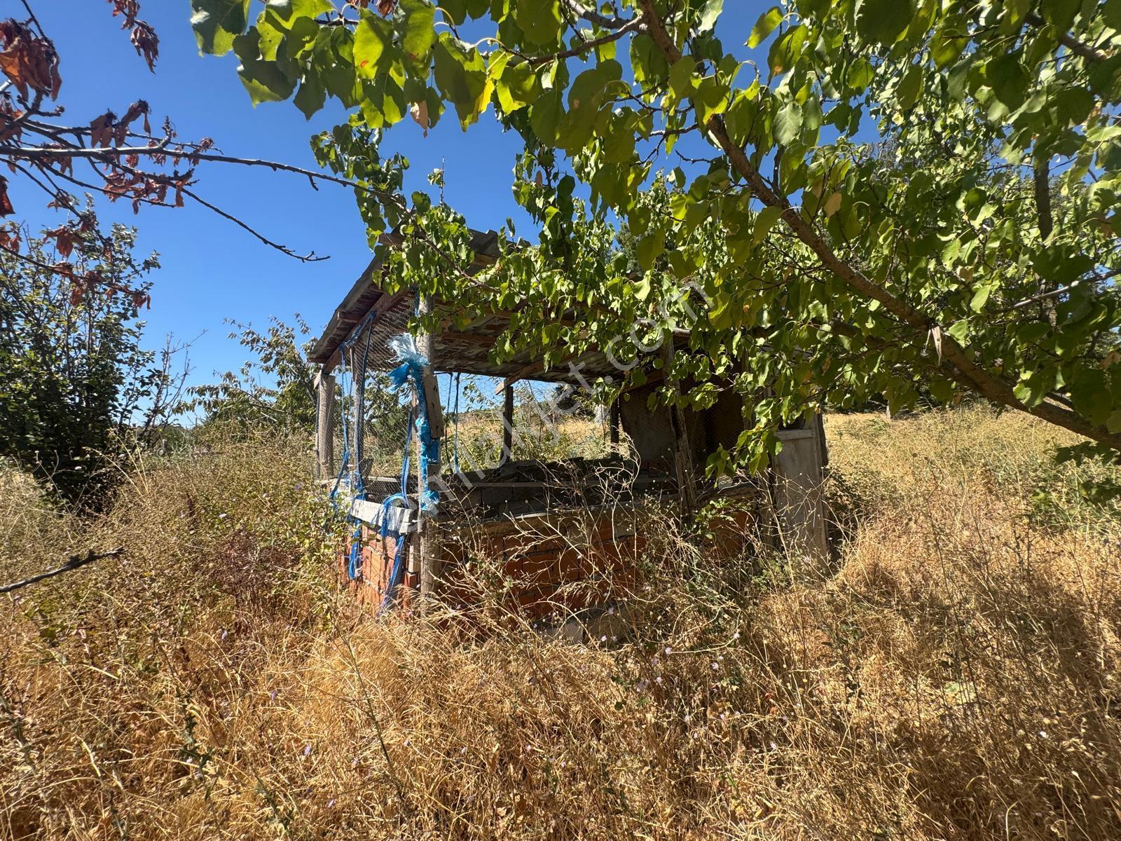 Kuzey Emlaktan Ana Yola Sıfır, 2 Evli, Havuzlu, Kuyulu Yatırımlık Tarla - Görsel 18