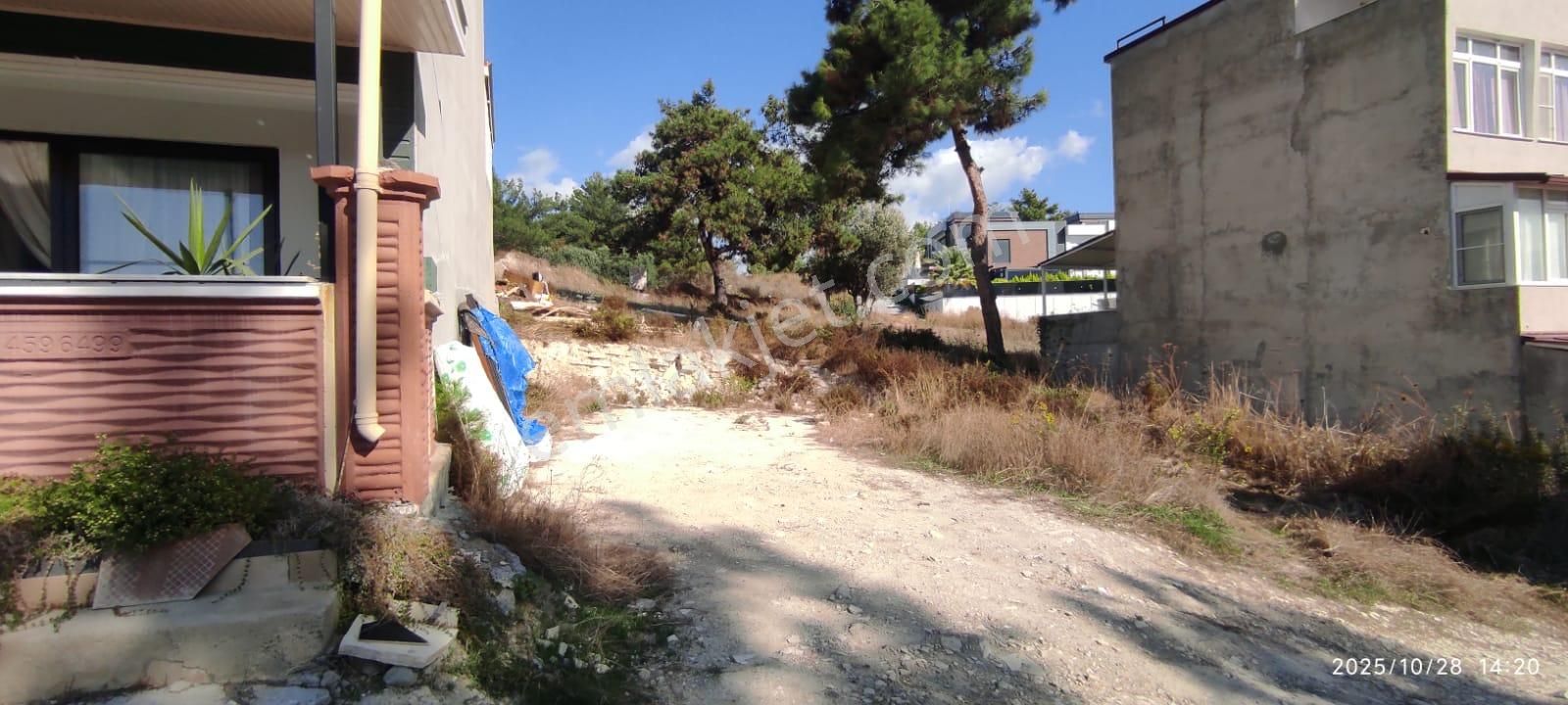 Aydın Kuşadası Soğucakta 3 Kat İmarlı Kooperatif 2 Adet Kooperatif Hissesi - Görsel 3