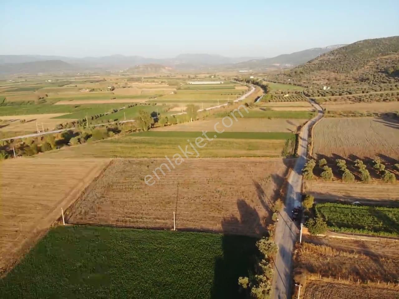 Milas Akyol'da- Resmi Elektrik / Su İçinde - 105m Resmi Yol Cepheli - 10.415 M2 Satılık Kupon Tarla - Görsel 9