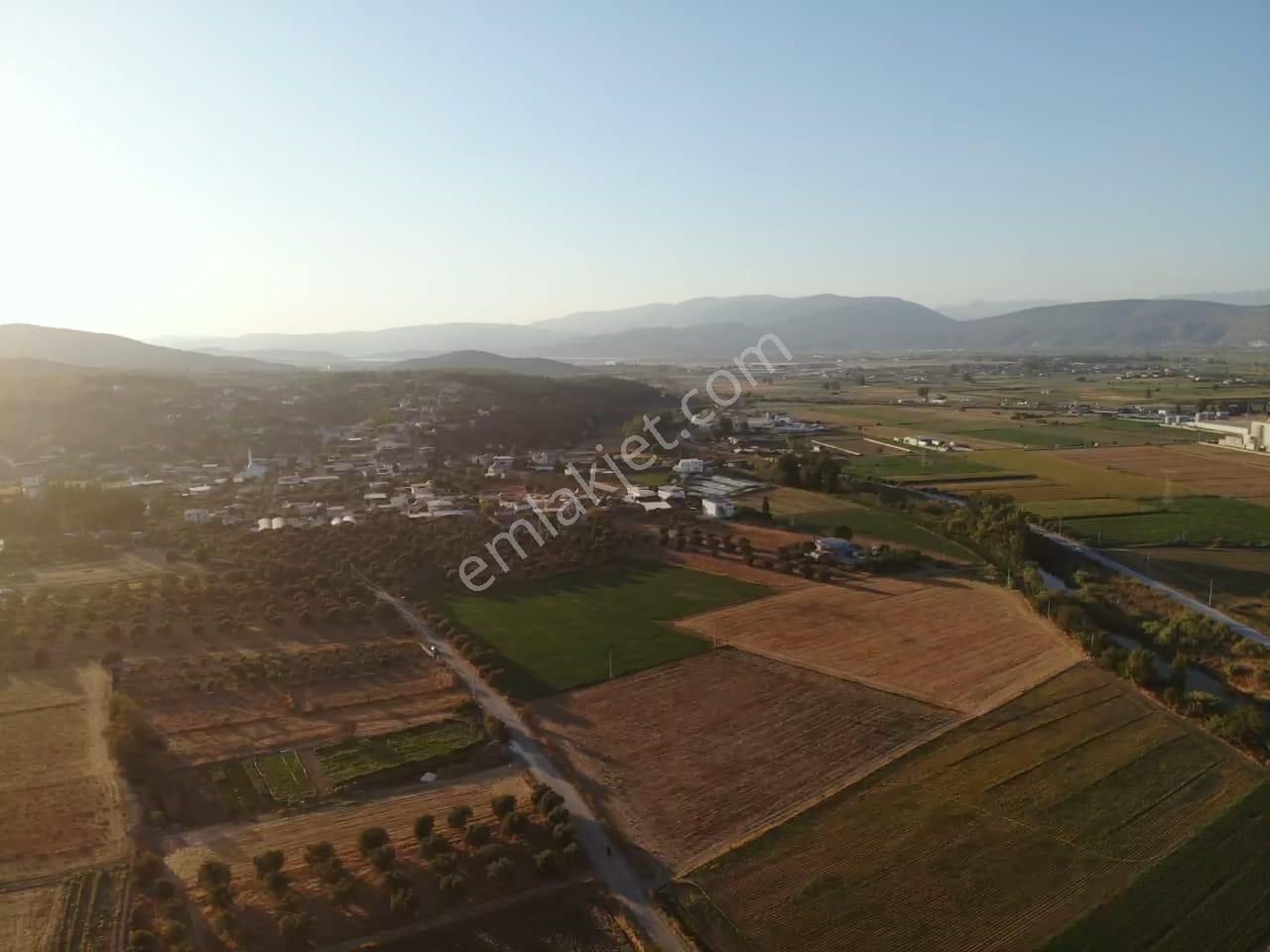 Milas Akyol'da- Resmi Elektrik / Su İçinde - 105m Resmi Yol Cepheli - 10.415 M2 Satılık Kupon Tarla - Görsel 10