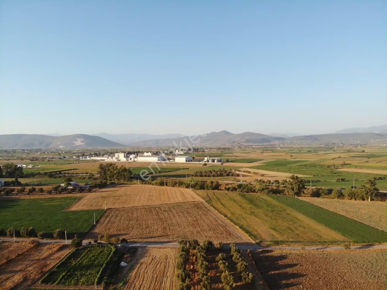 Milas Akyol'da- Resmi Elektrik / Su İçinde - 105m Resmi Yol Cepheli - 10.415 M2 Satılık Kupon Tarla - Görsel 7